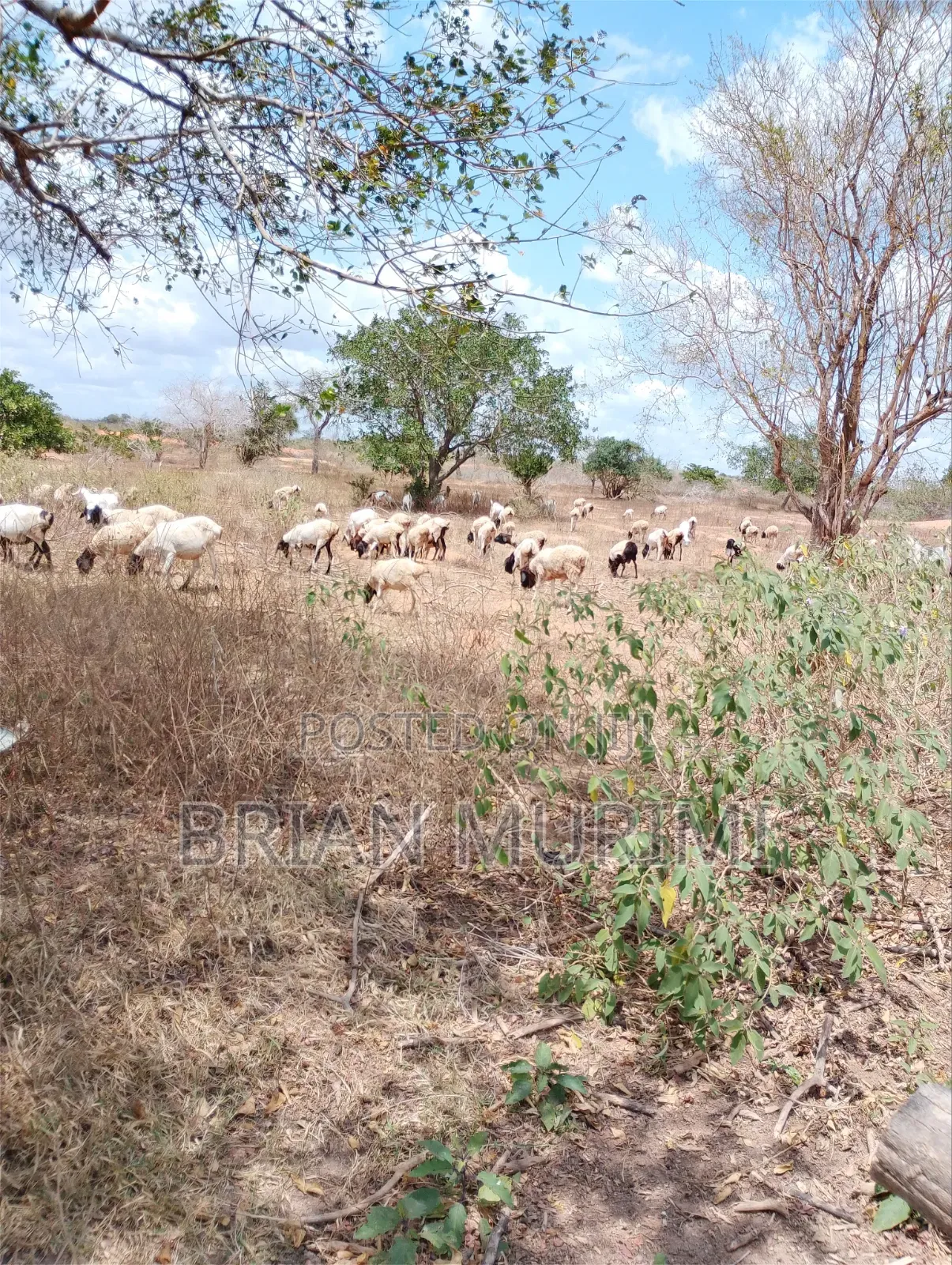 846 Acres on Sale