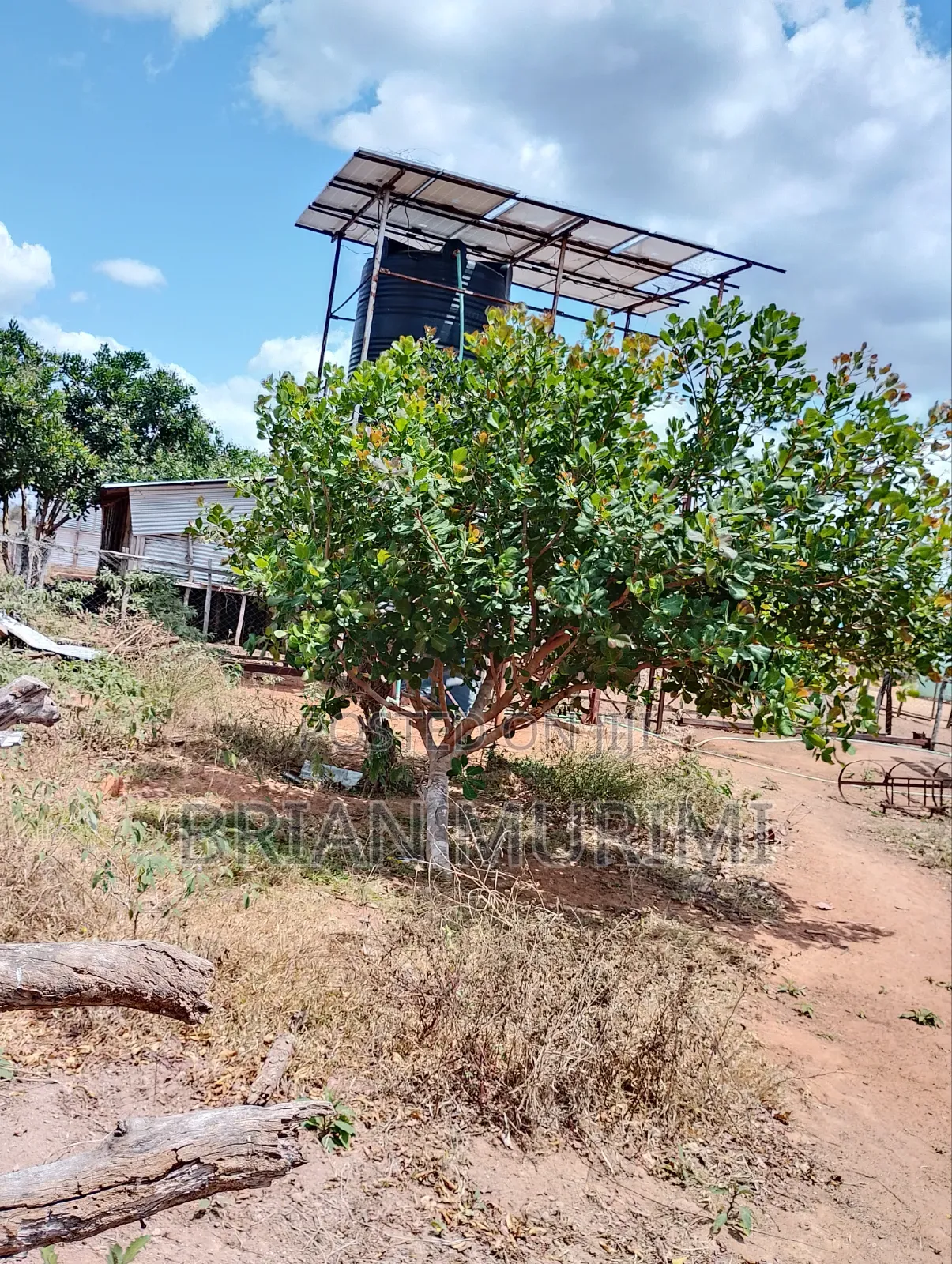 846 Acres on Sale