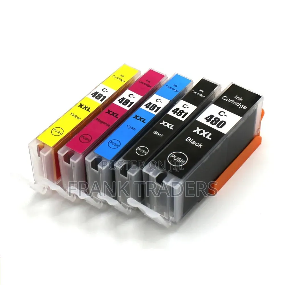 Canon Catridge 481 and Pgi_480