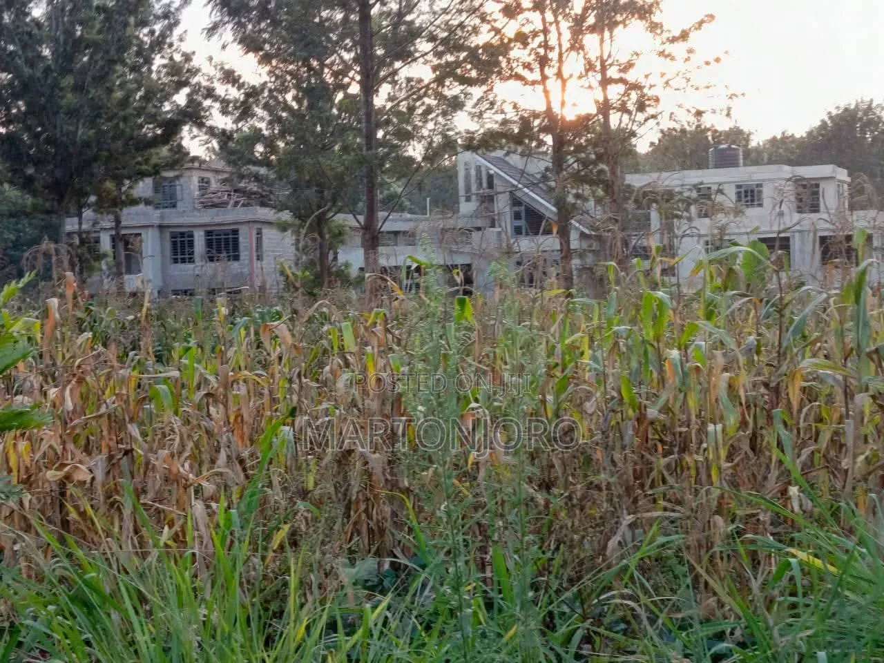 Oaklands 1/8 Acre Ruiru