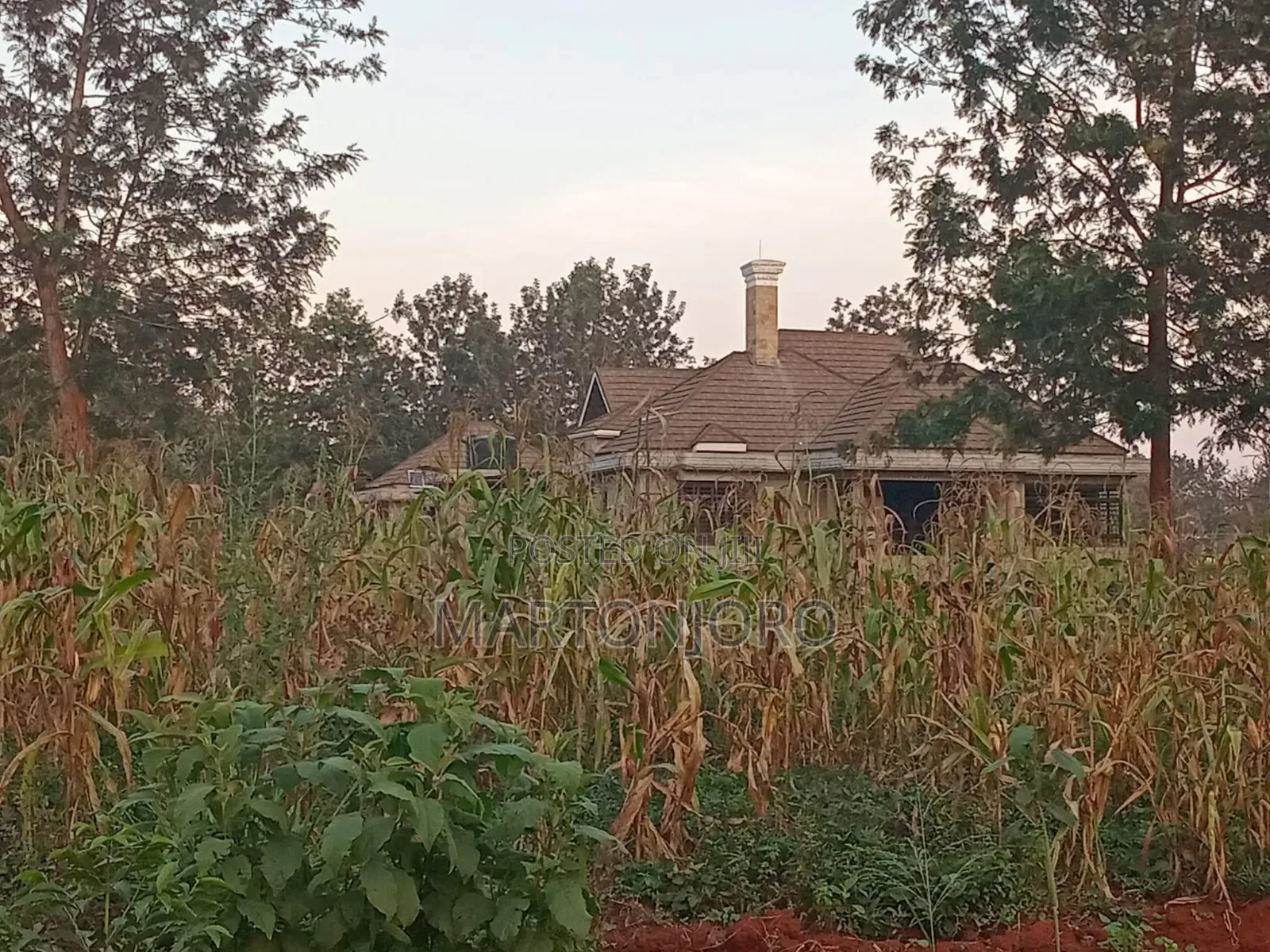Oaklands 1/8 Acre Ruiru