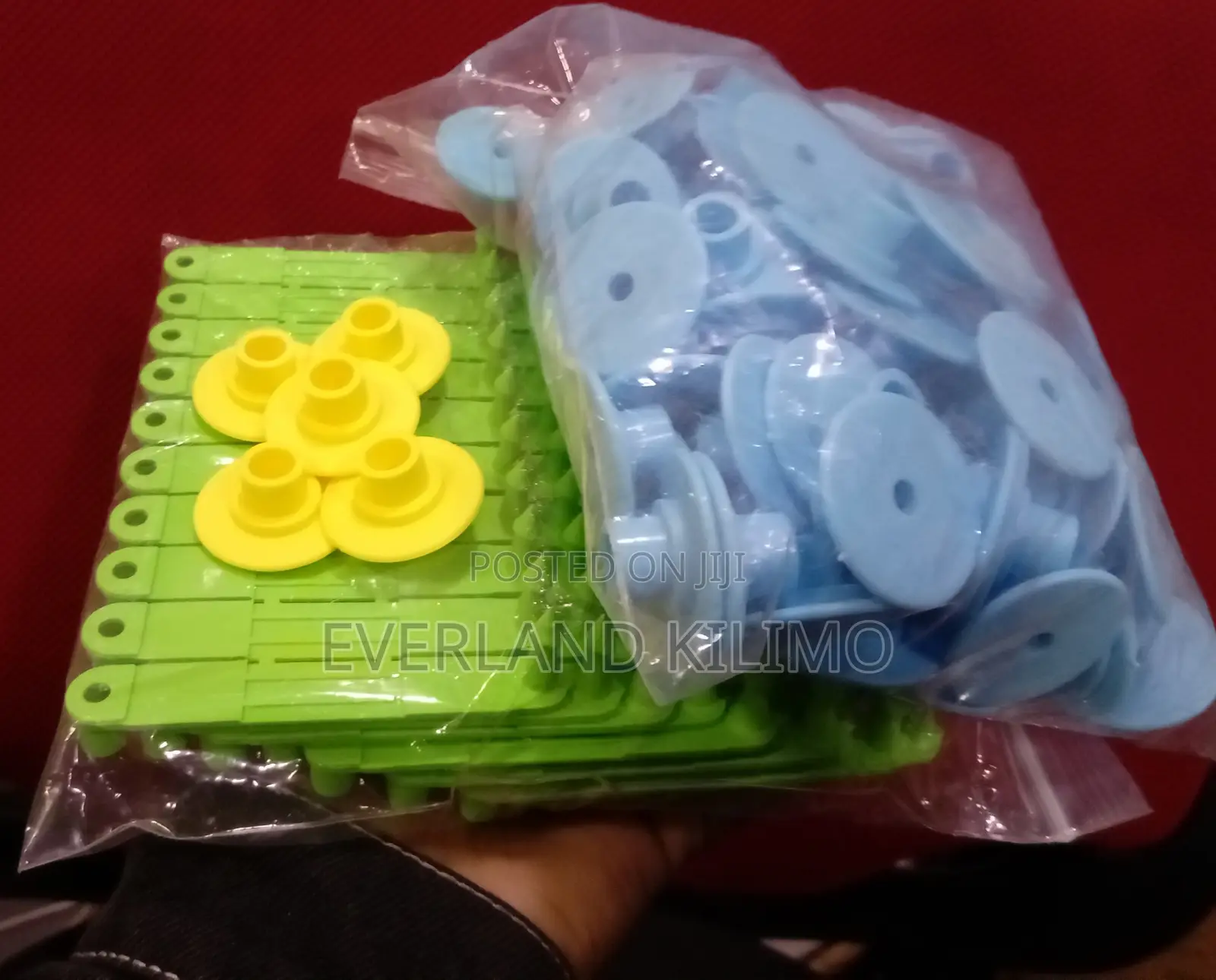 Yellow Customized by Numbers Round Ear Tags