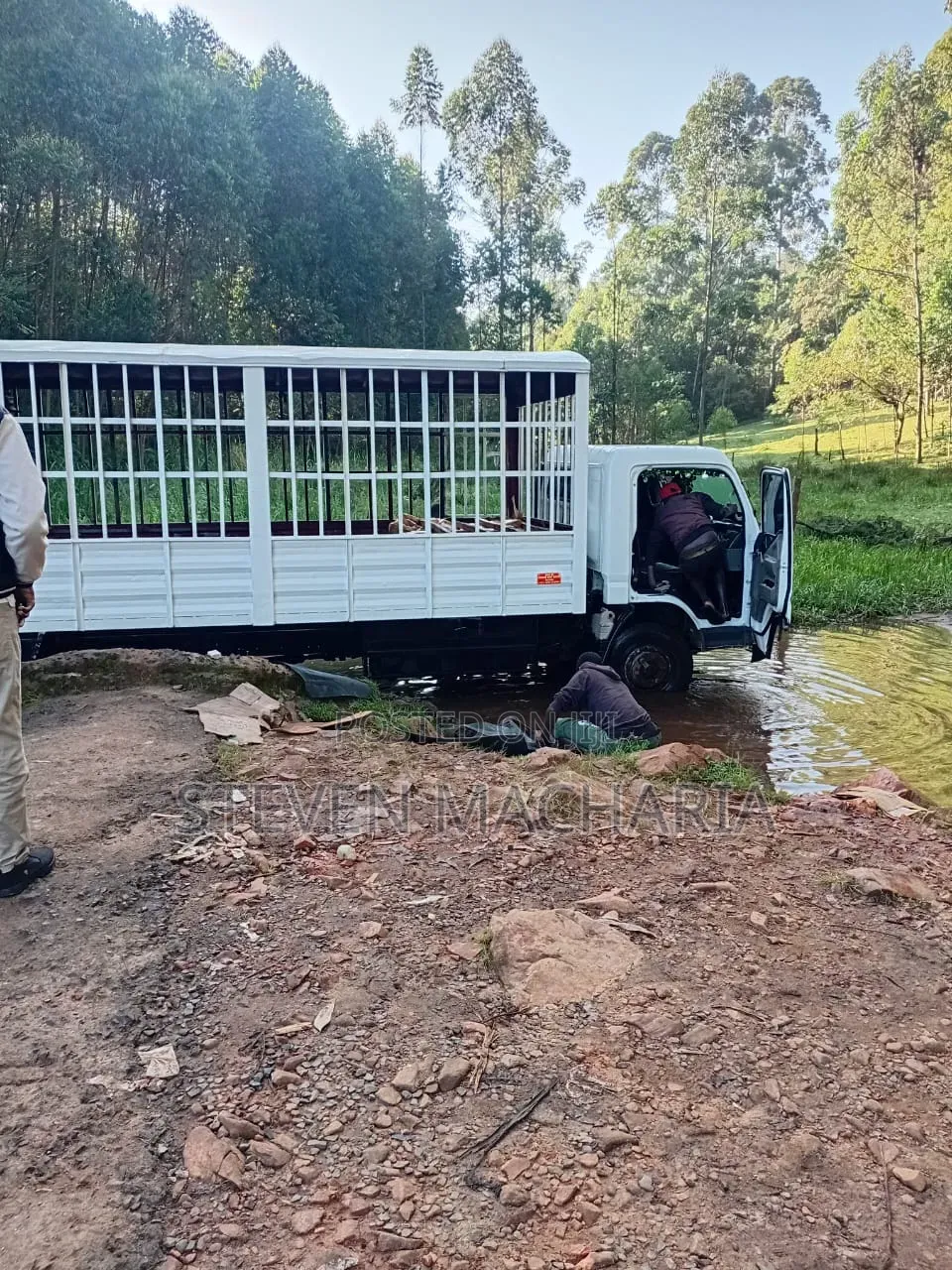 Mitsubishi Canter Ya Majani