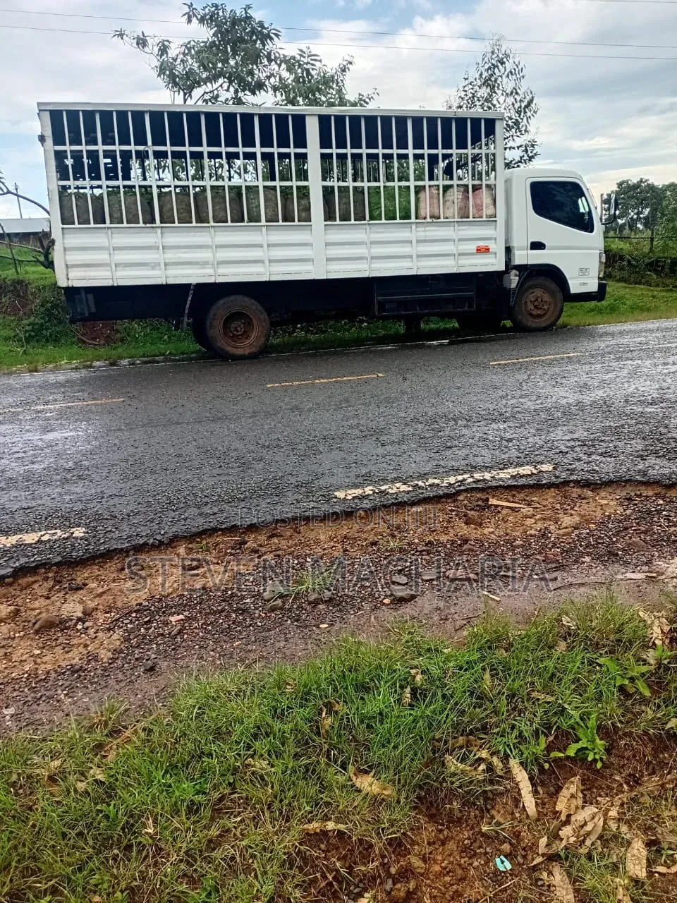 Mitsubishi Canter Ya Majani
