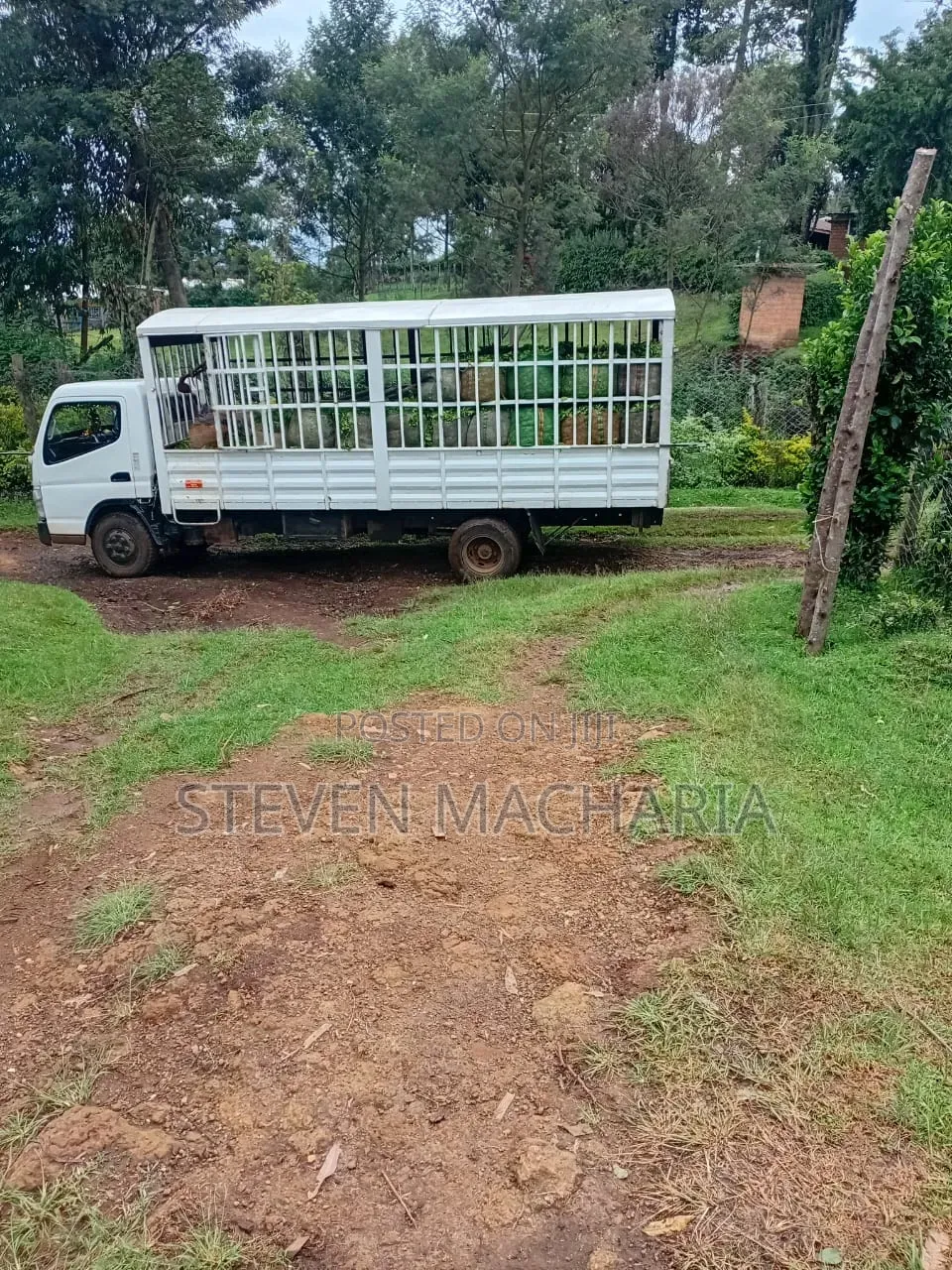 Mitsubishi Canter Ya Majani