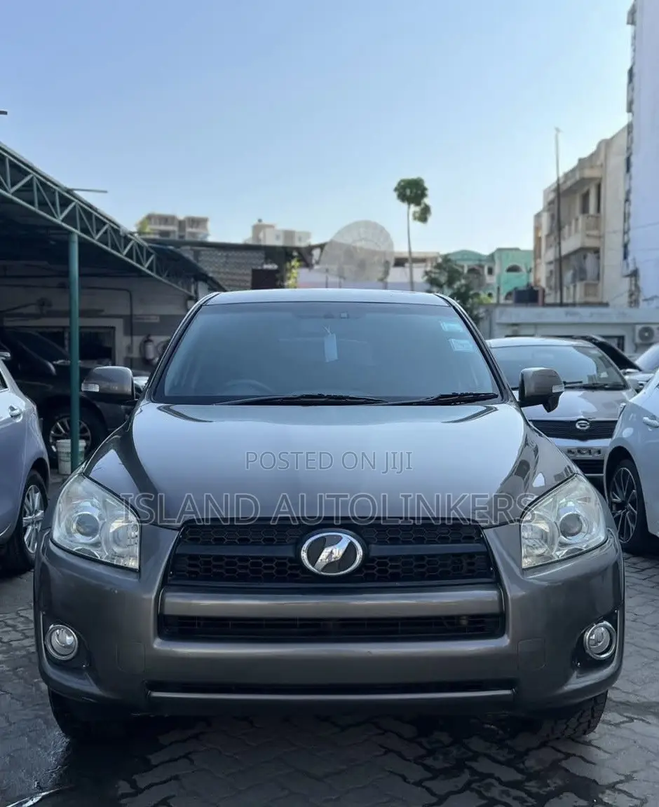 Toyota RAV4 2.5 4x4 2012 Brown