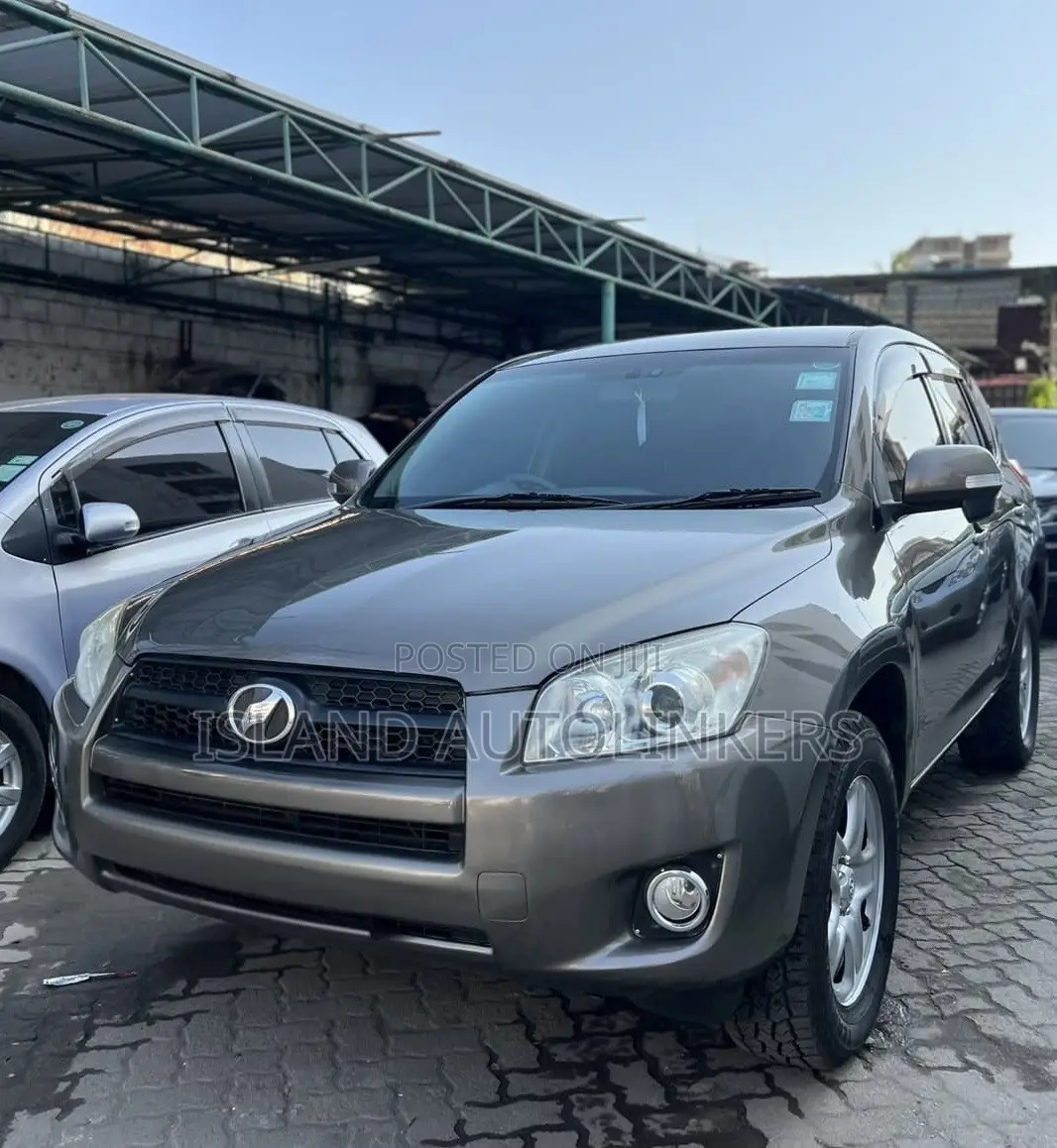 Toyota RAV4 2.5 4x4 2012 Brown