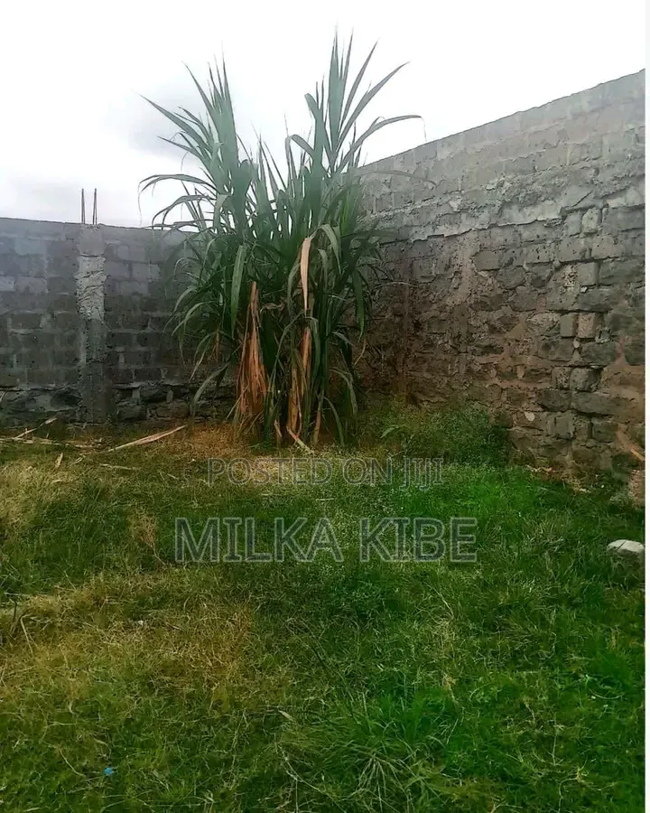 Witeithie Kandara Quarter Acre for Sale