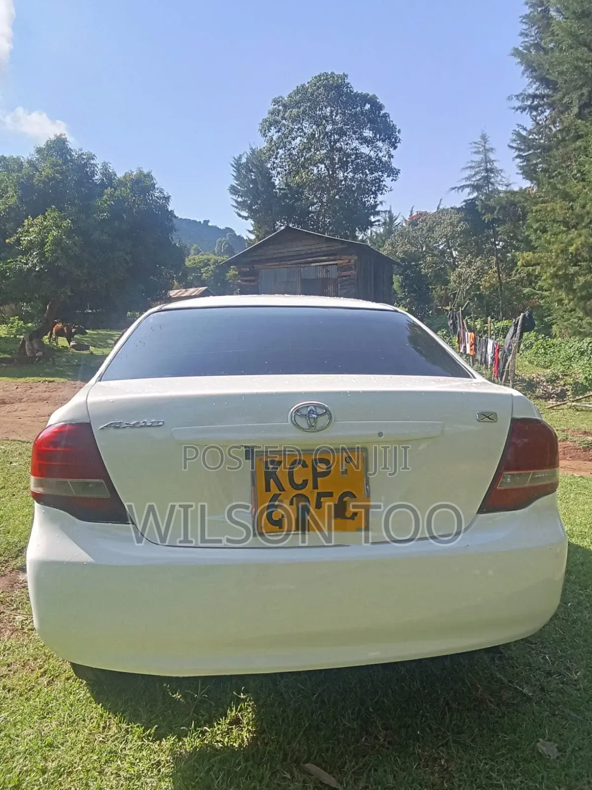 Toyota Axio 2013 White