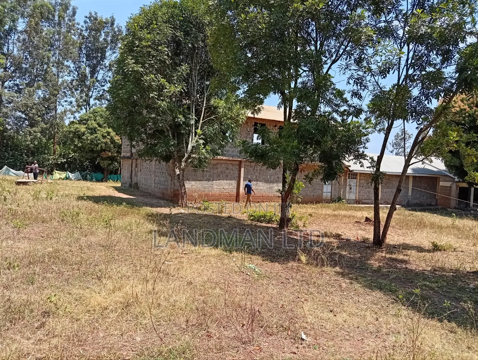 School on Sale Kenol