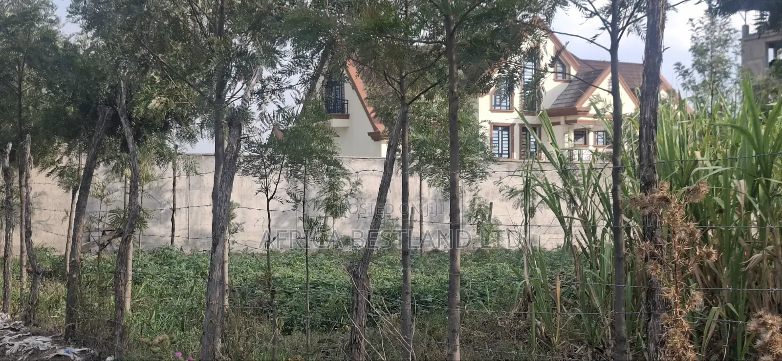 50×100 Plot for Sale – Gilgil, Langa Langa