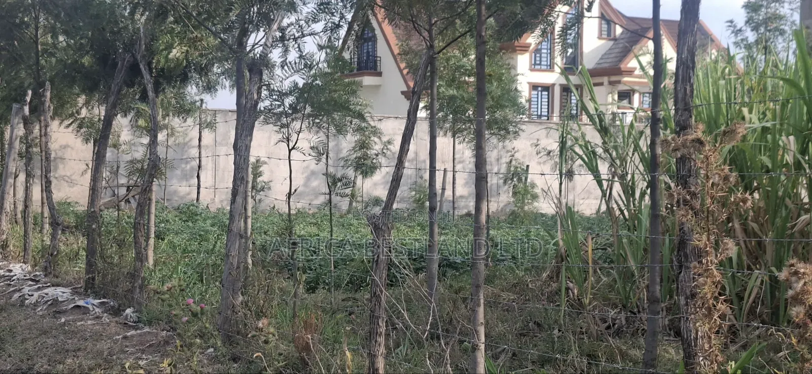 50×100 Plot for Sale – Gilgil, Langa Langa