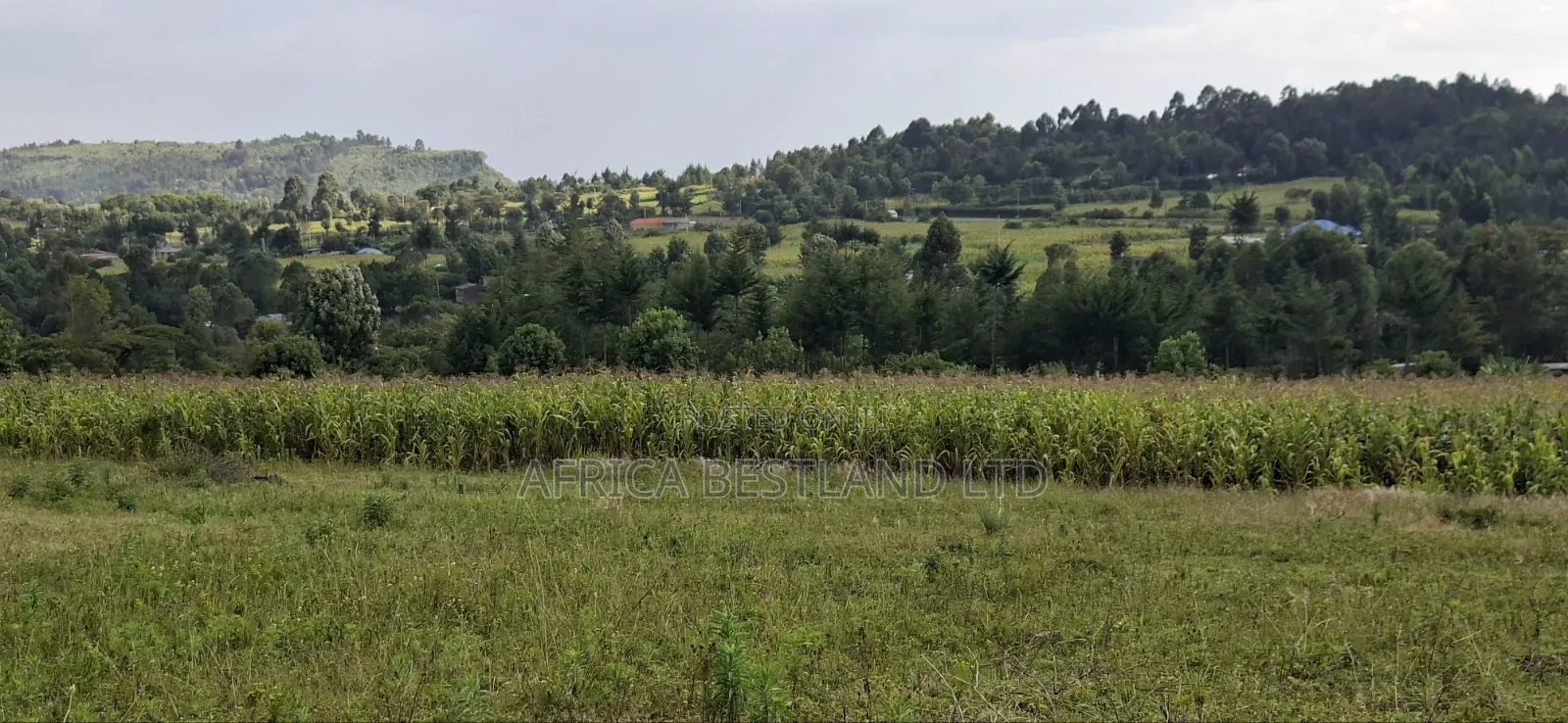 50×100 Plot for Sale – Gilgil, Langa Langa