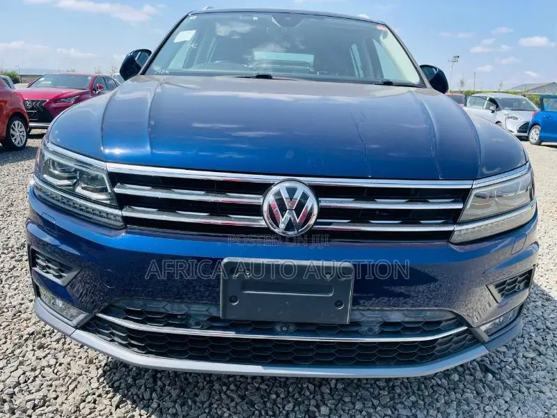 Volkswagen Tiguan 2019 Blue