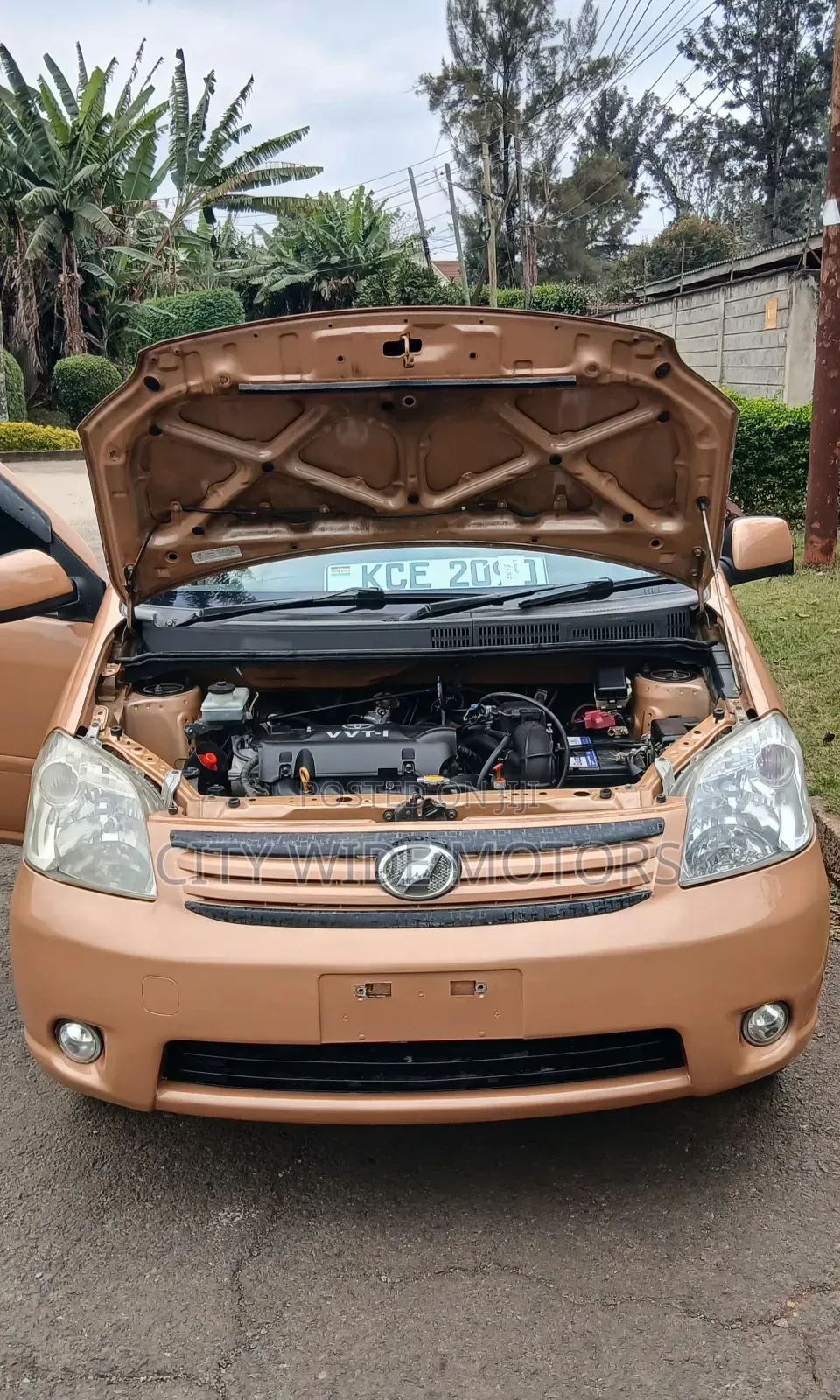 Toyota Raum 2008 Brown