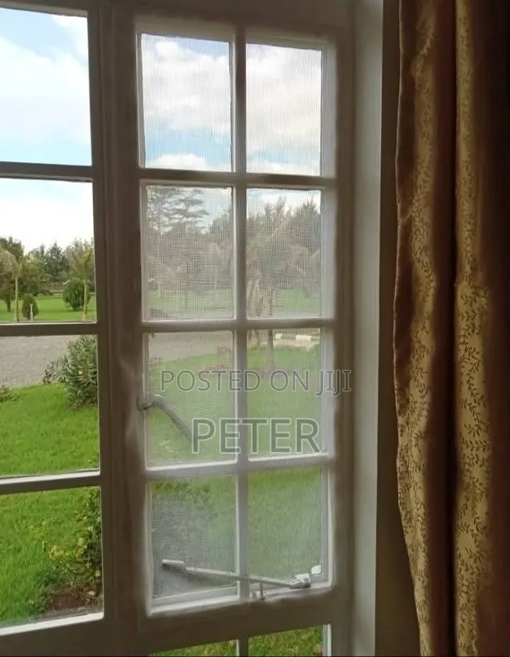 Windows Mosquito Screen
