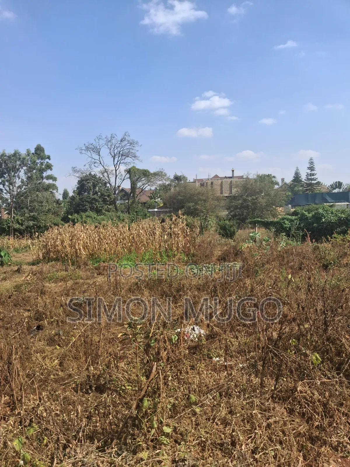 Mushrooms Gardens Kiambu Road Prime Secure Fully Serviced 1/2 Acre