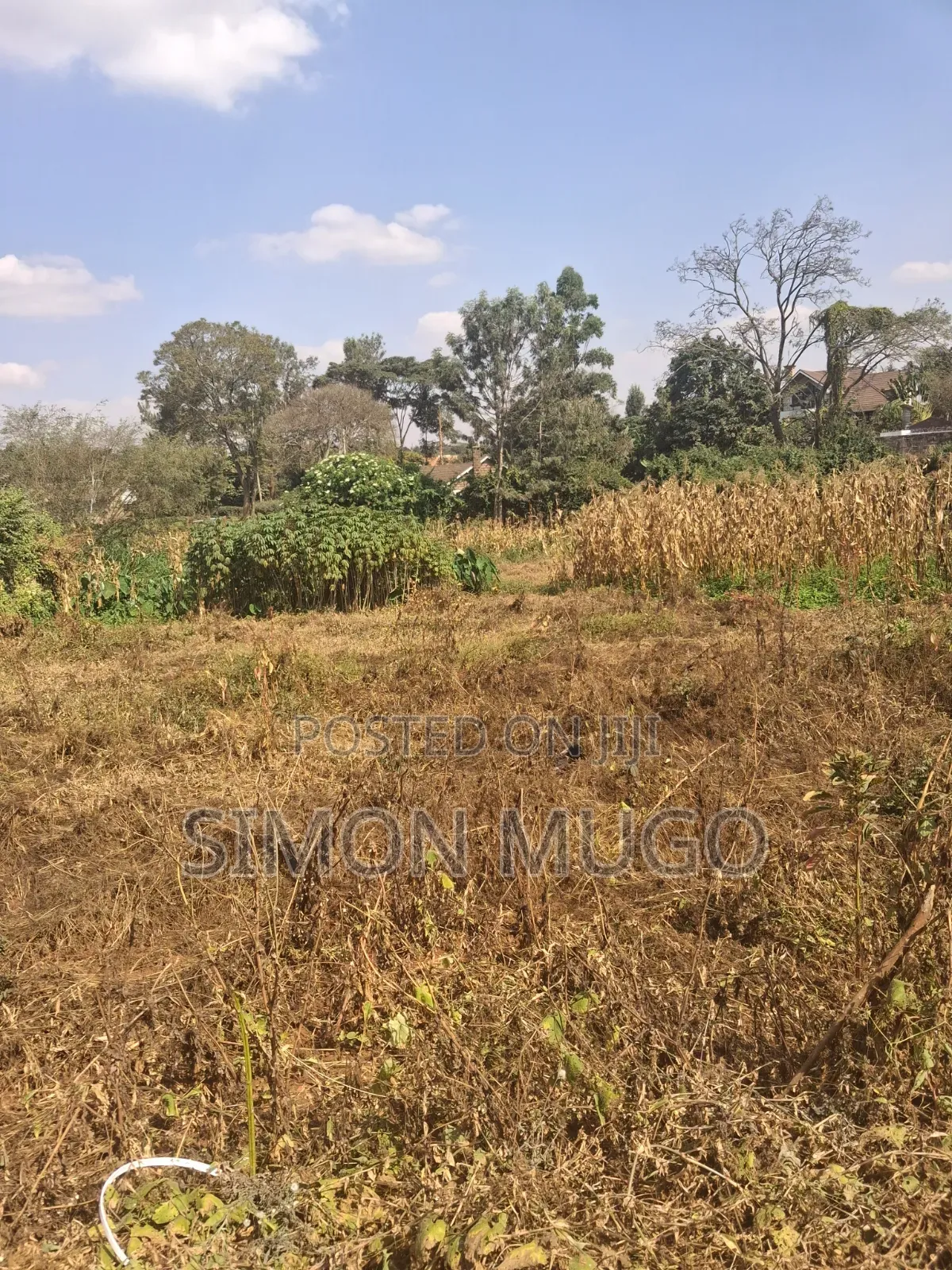 Mushrooms Gardens Kiambu Road Prime Secure Fully Serviced 1/2 Acre