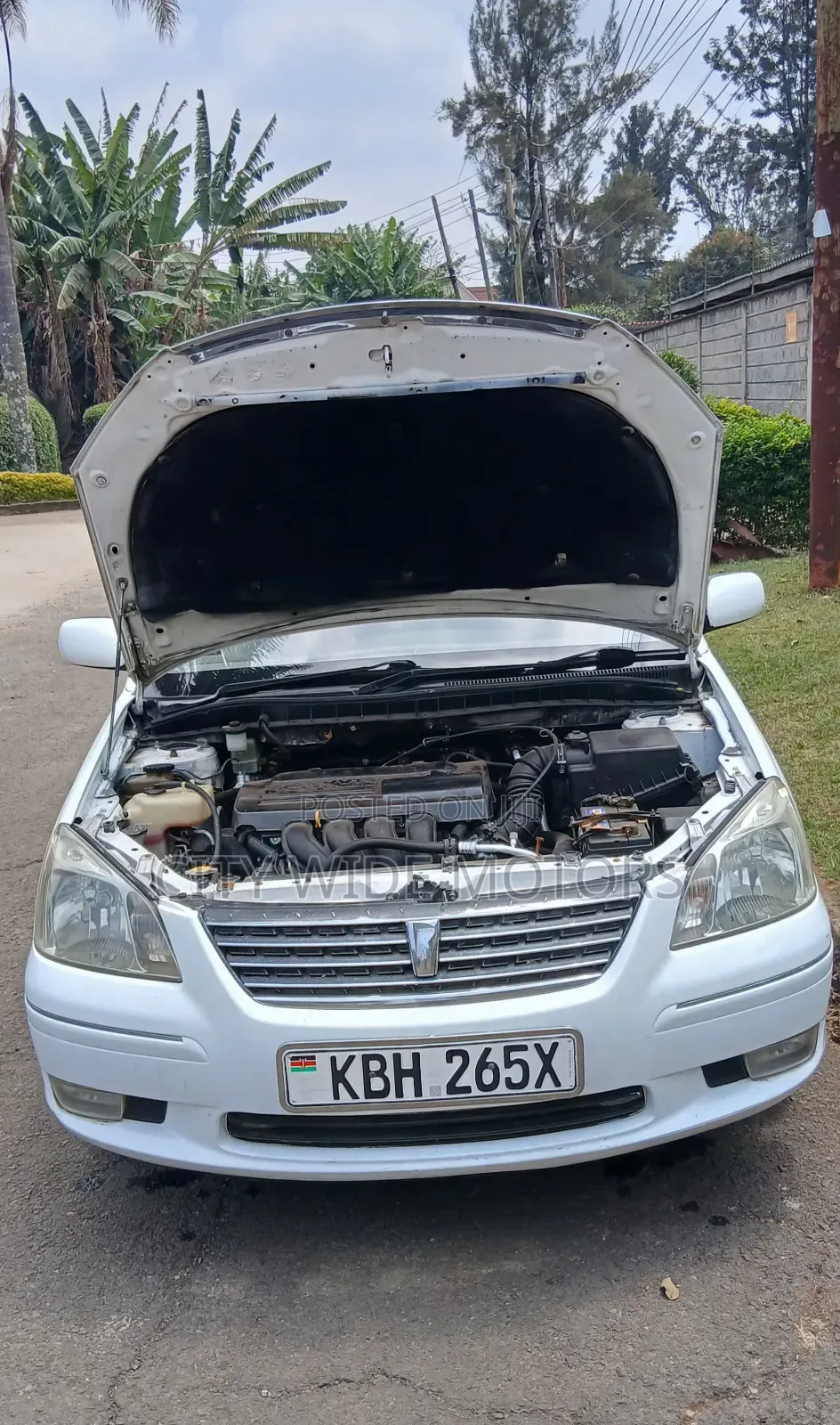 Toyota Premio 2003 White