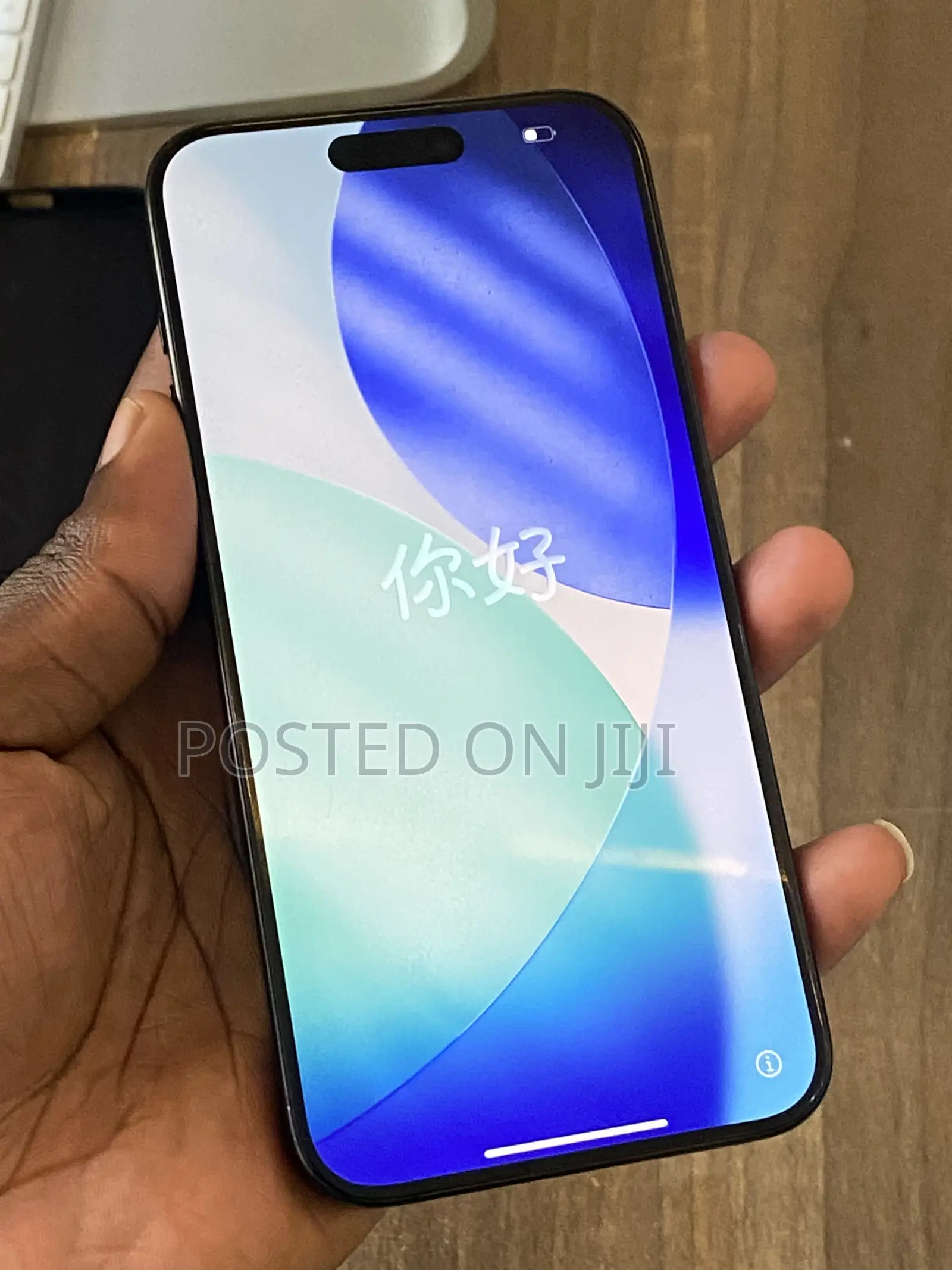 Apple iPhone 15 Pro Max 256 GB Black