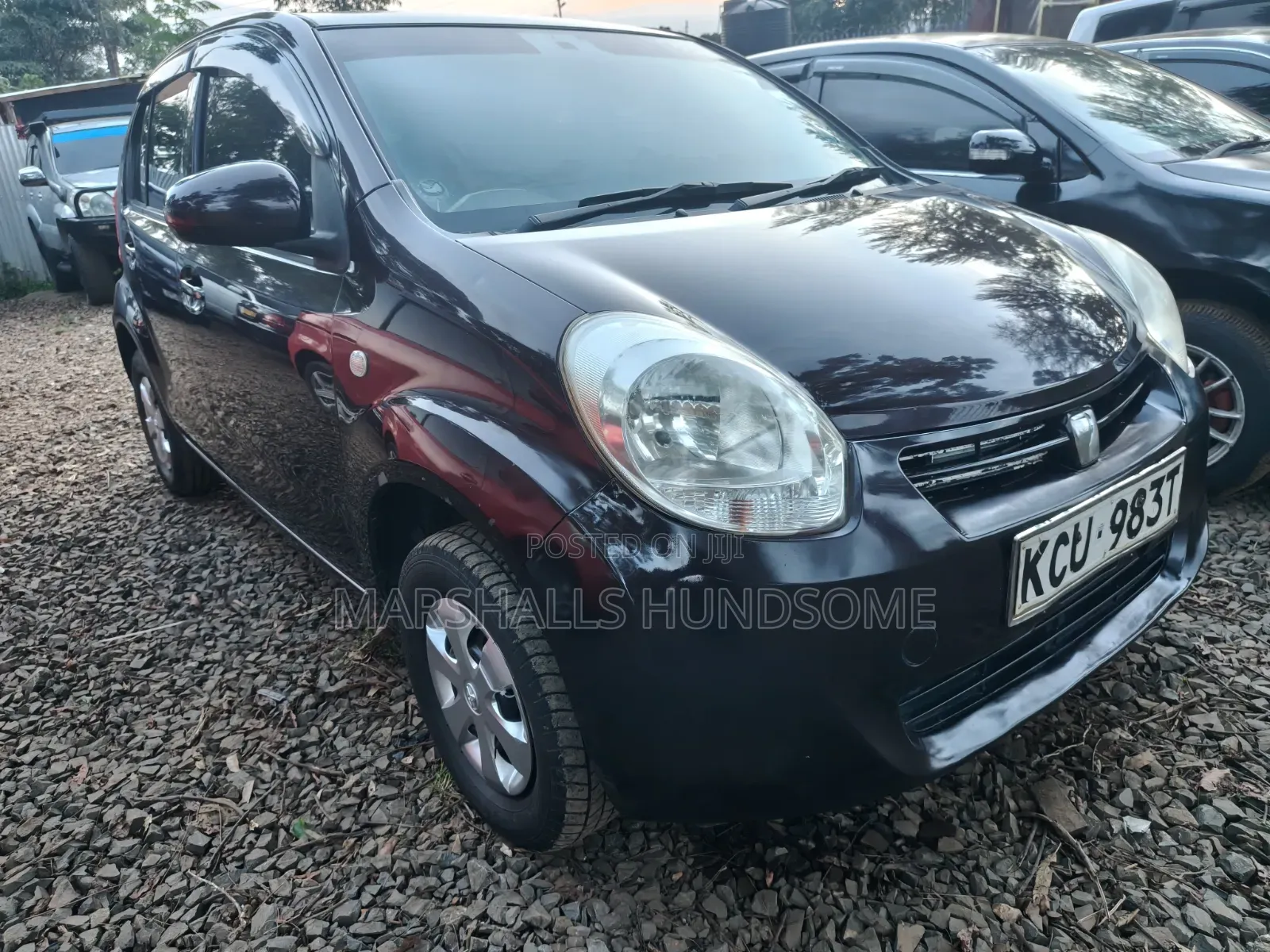 Toyota Passo 2012 Purple