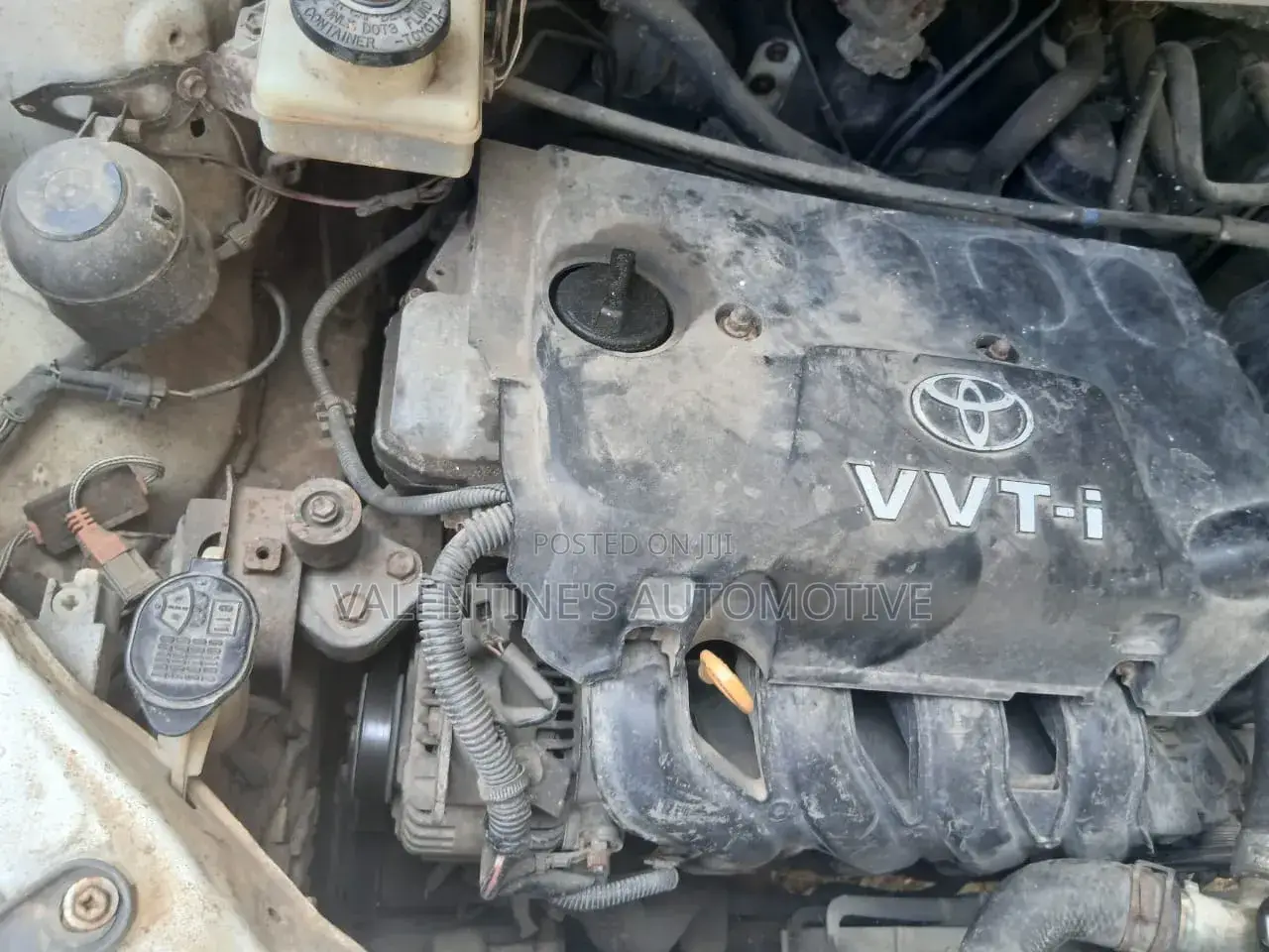 Toyota IST 2004 White