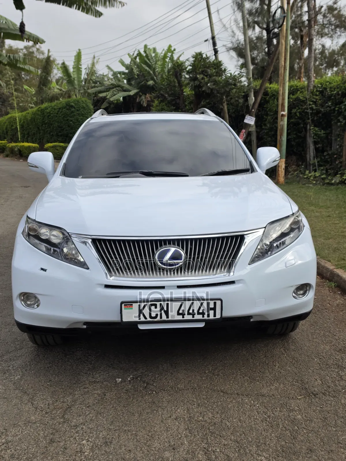 Lexus RX 2010 Pearl