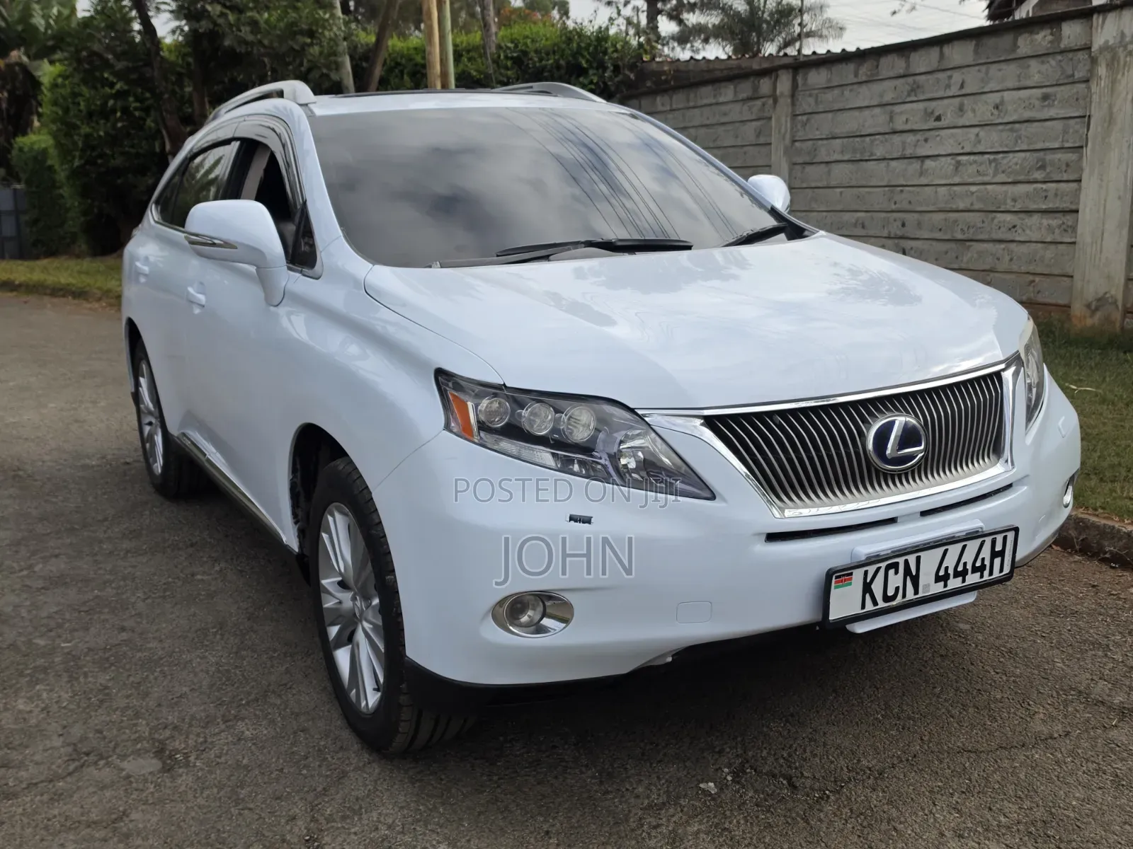 Lexus RX 2010 Pearl