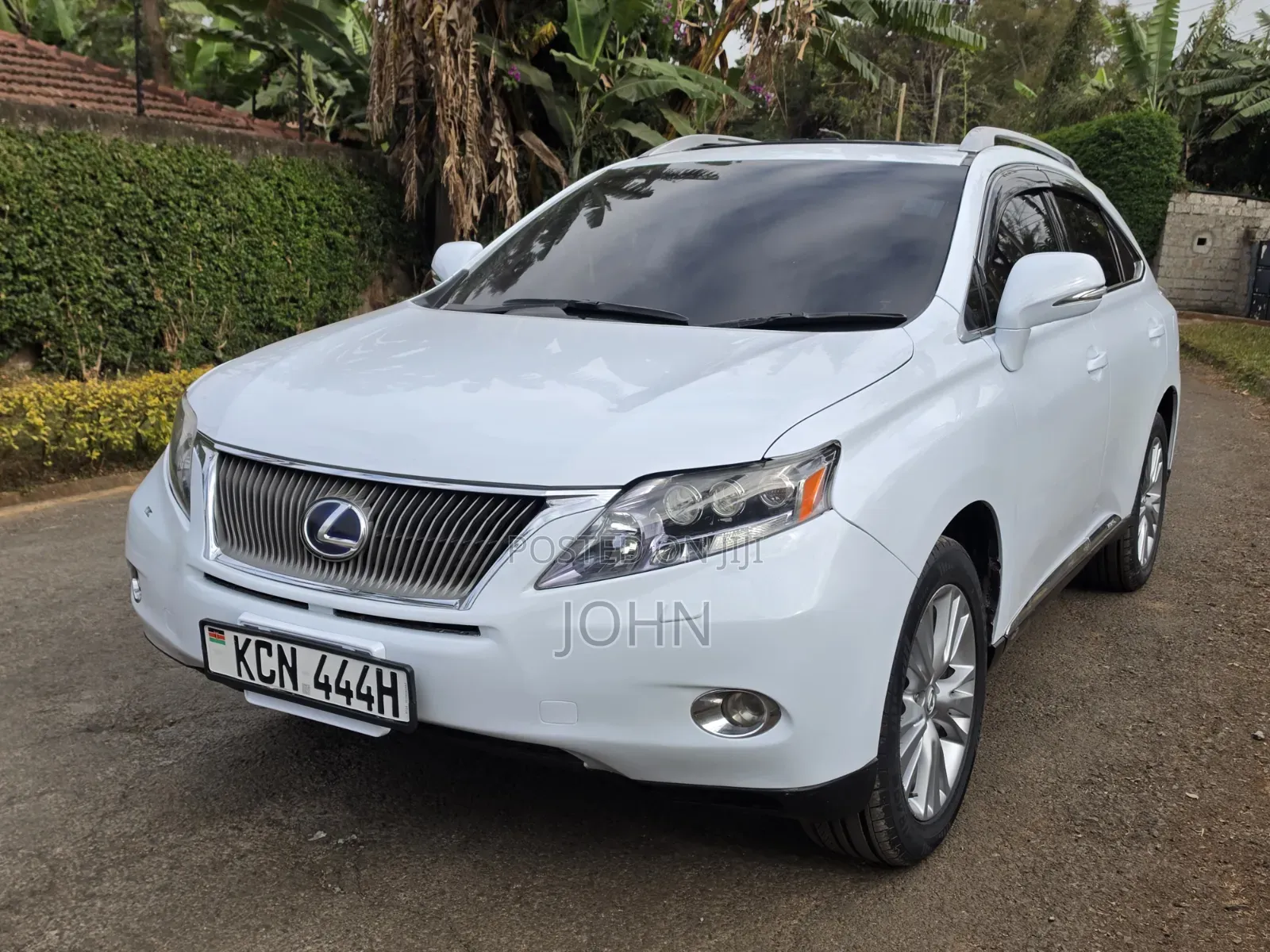 Lexus RX 2010 Pearl