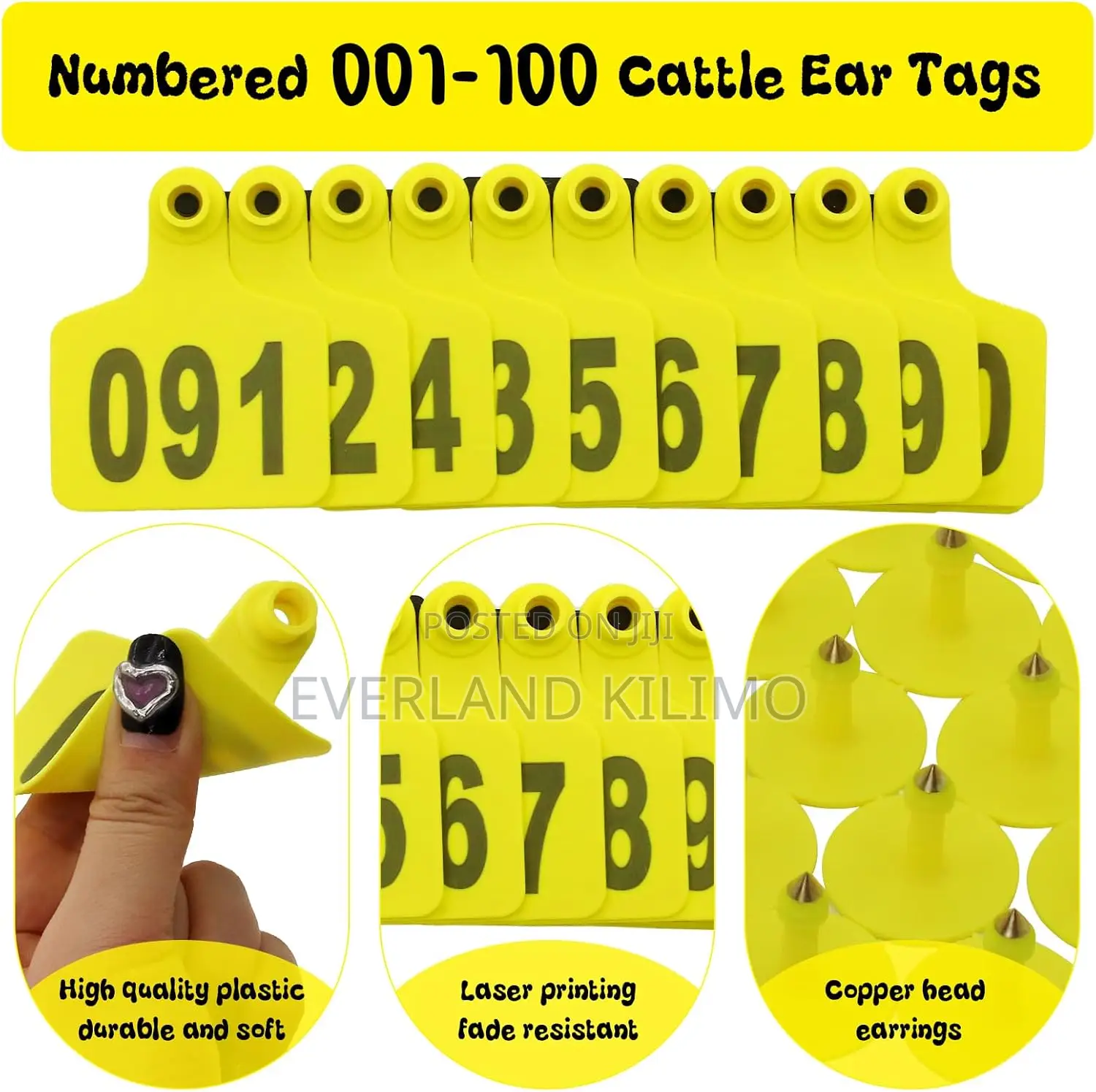 Cow Identification Tag - Large