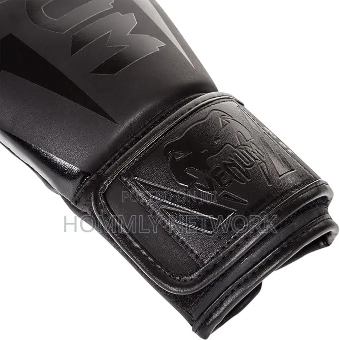 Venum Challenger 2.0 Boxing Gloves - Black/Black