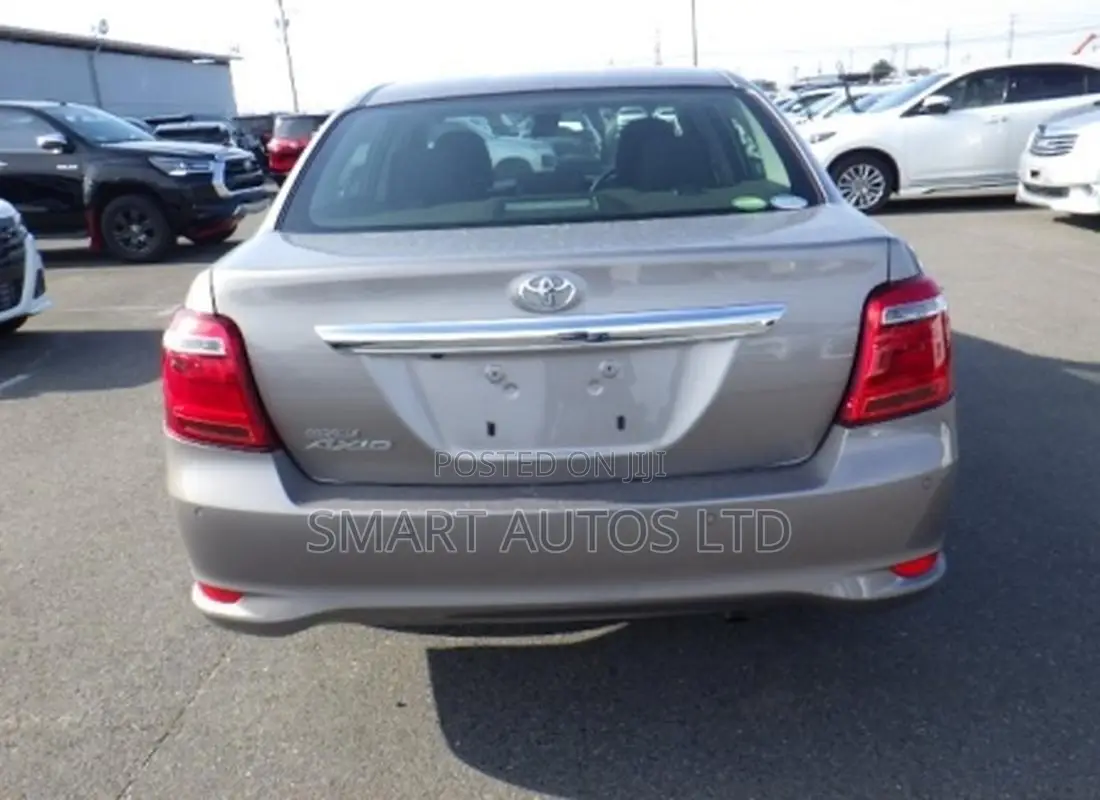 Toyota Axio 2019 Brown