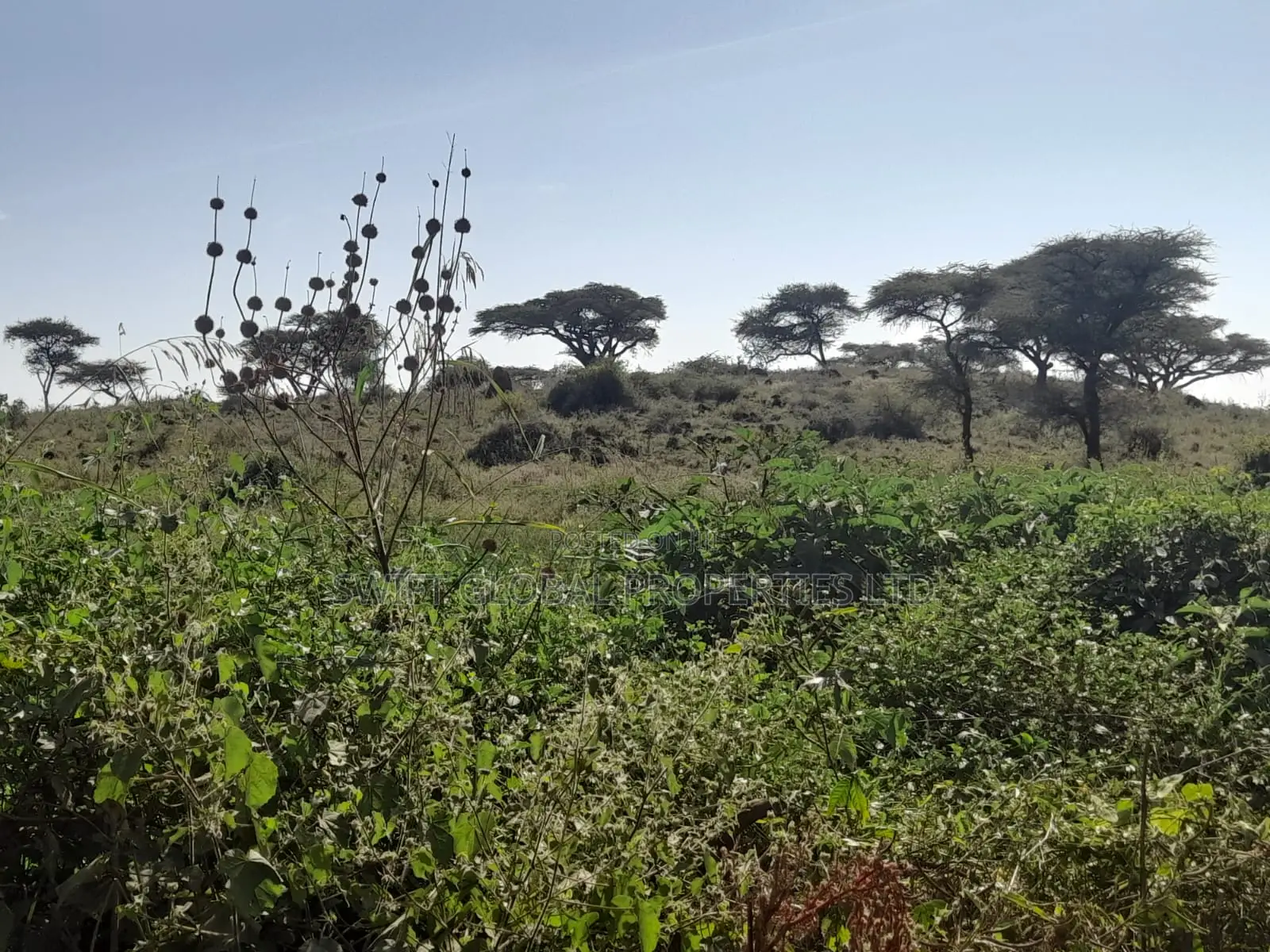120 Acres Is Available for Sale in Bisil Kajiado County