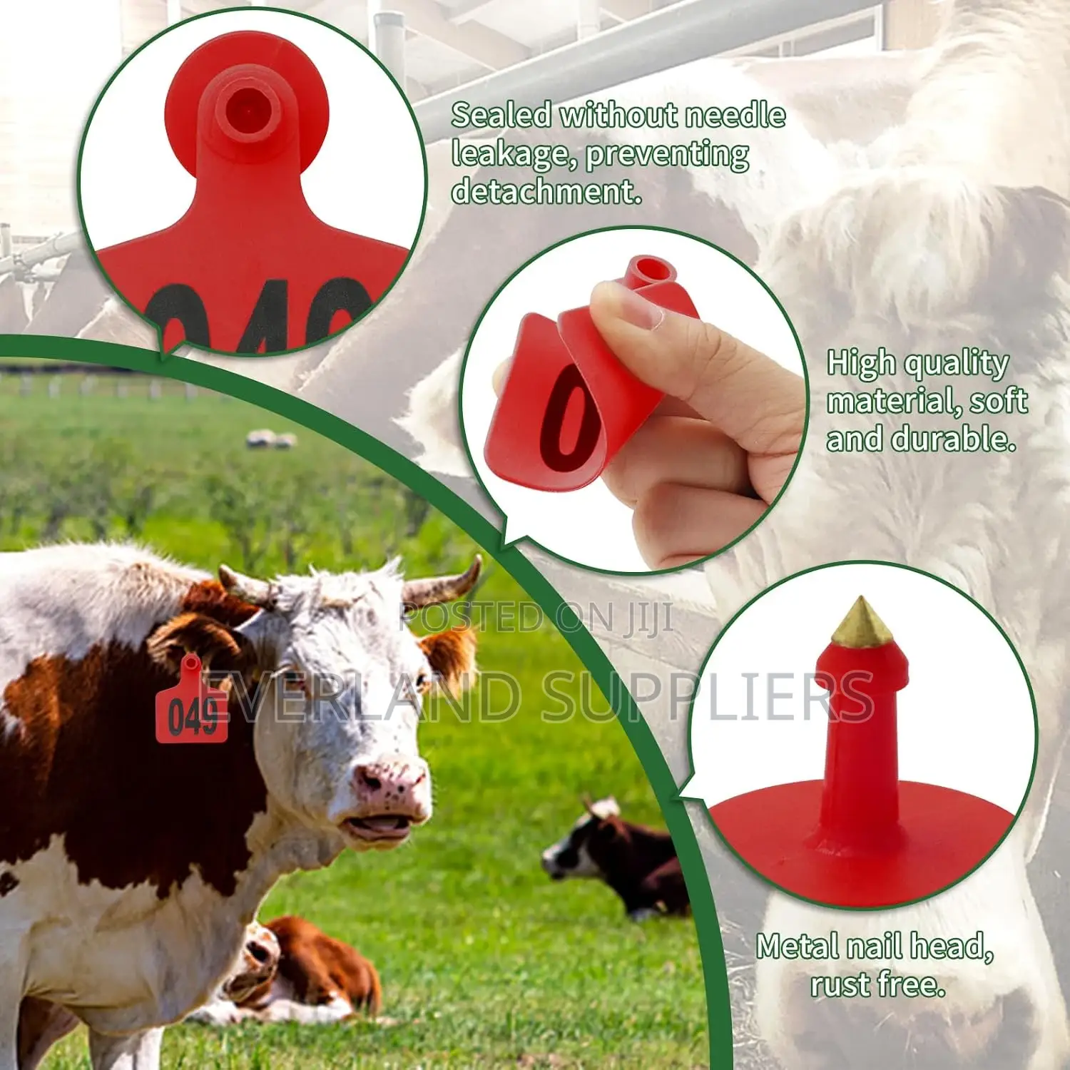Management Identification Numbered Ear Tag for Cattles