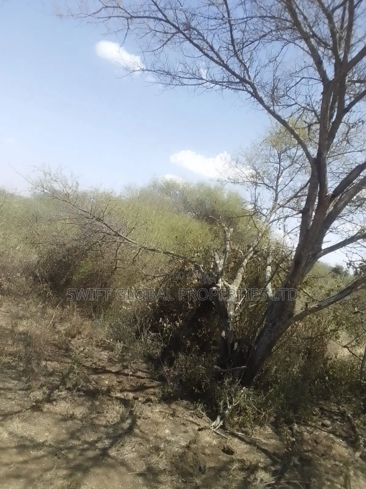 2000 Acres Are Available for Sale in Kajiado Mailua Town
