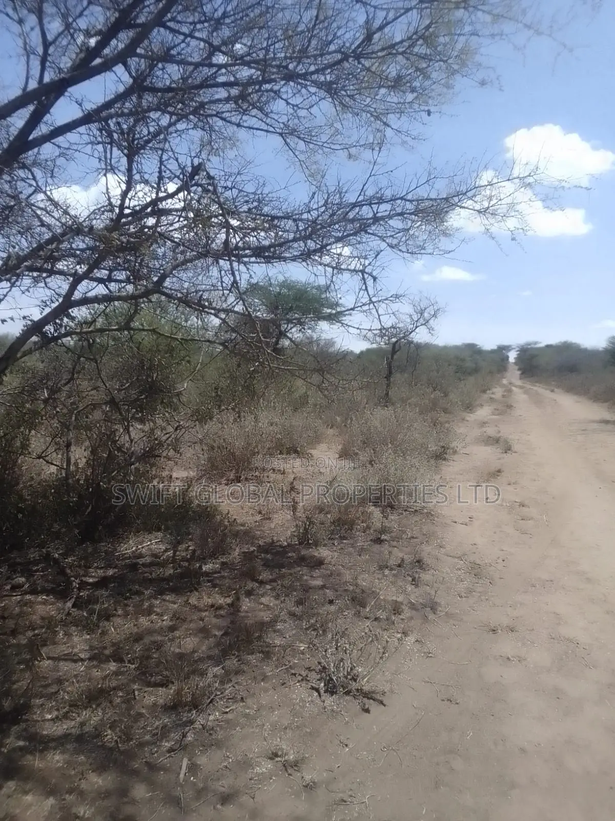 2000 Acres Are Available for Sale in Kajiado Mailua Town