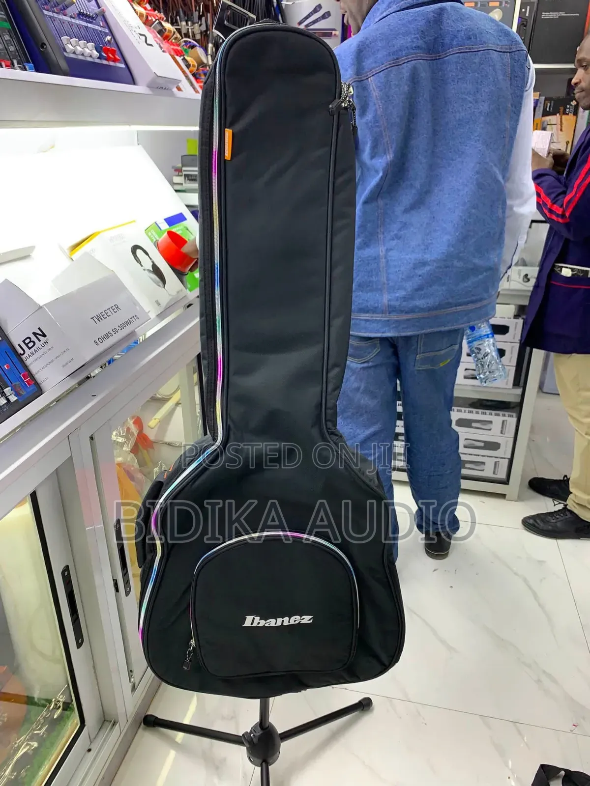 Ibanez Heavy-Padded Guitar Gig Bag