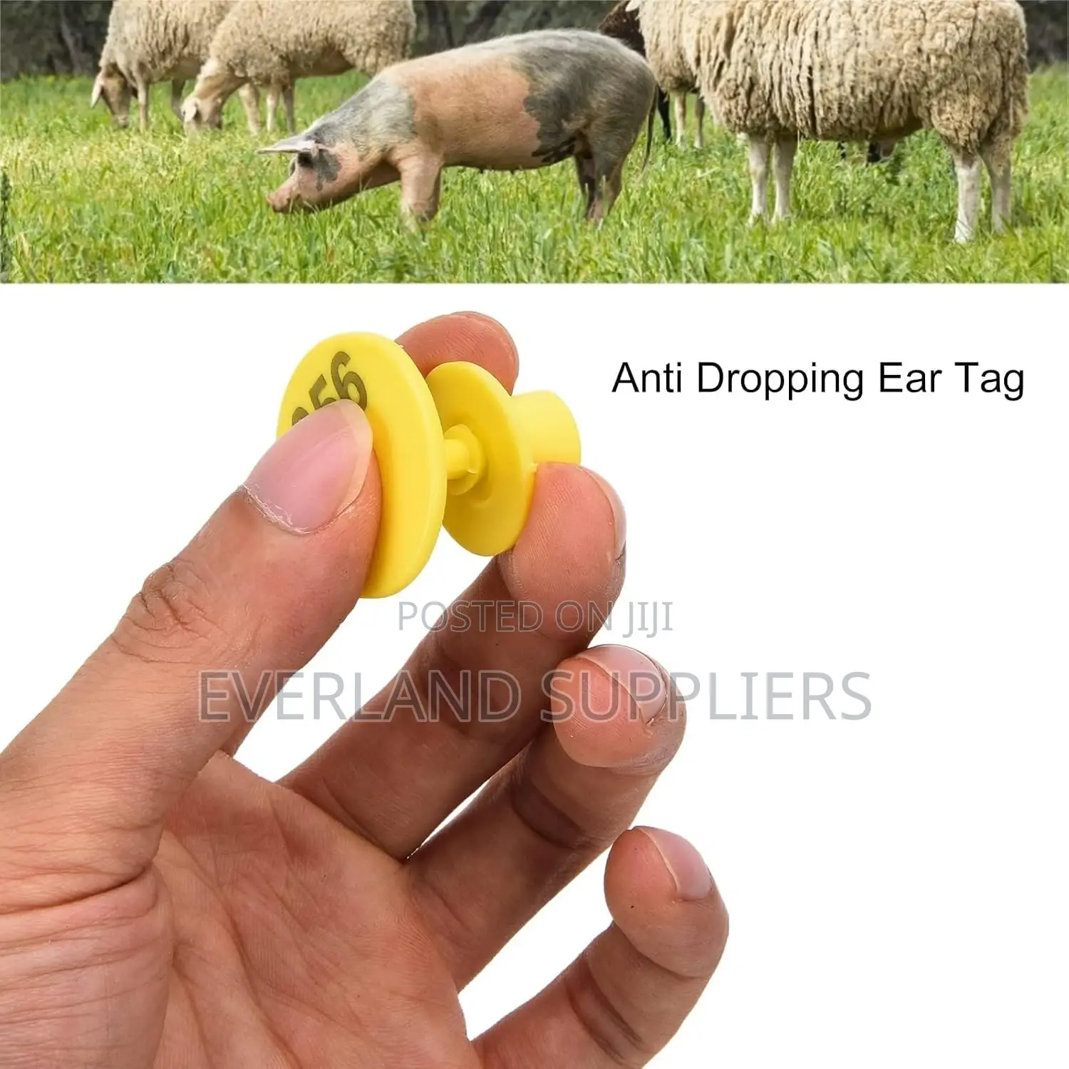 Farm Data Identification Numbered Ear Tag
