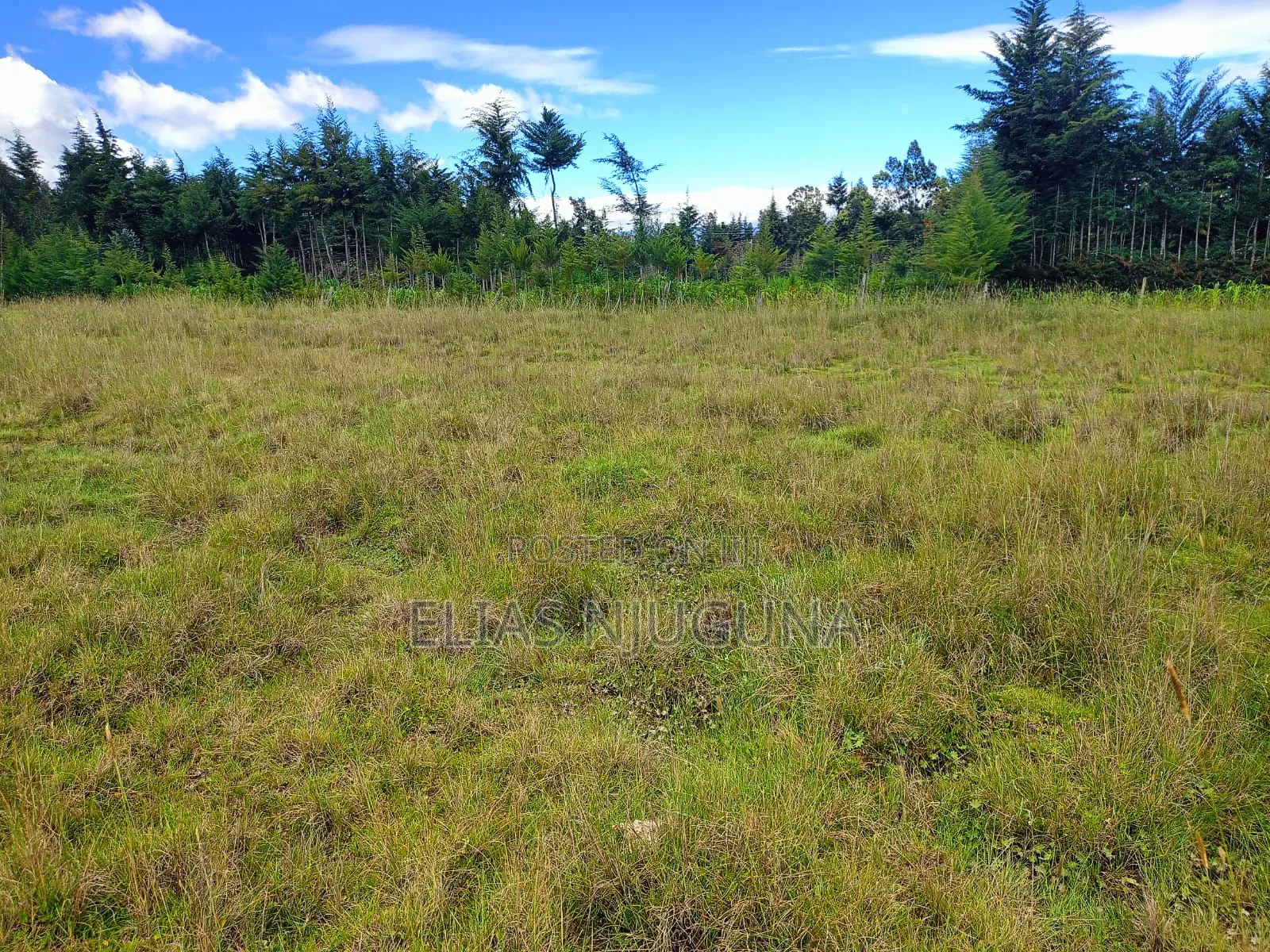 18 ACRES OLKALOU( NORTH Kinangop Ndunyu Njeru 500 Metres From Tarmac.