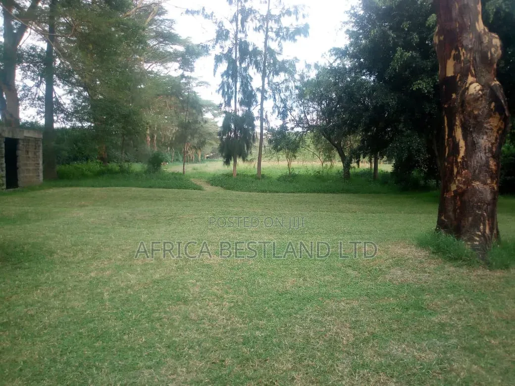Acres for Sale – Lake Naivasha | KSH 300m
