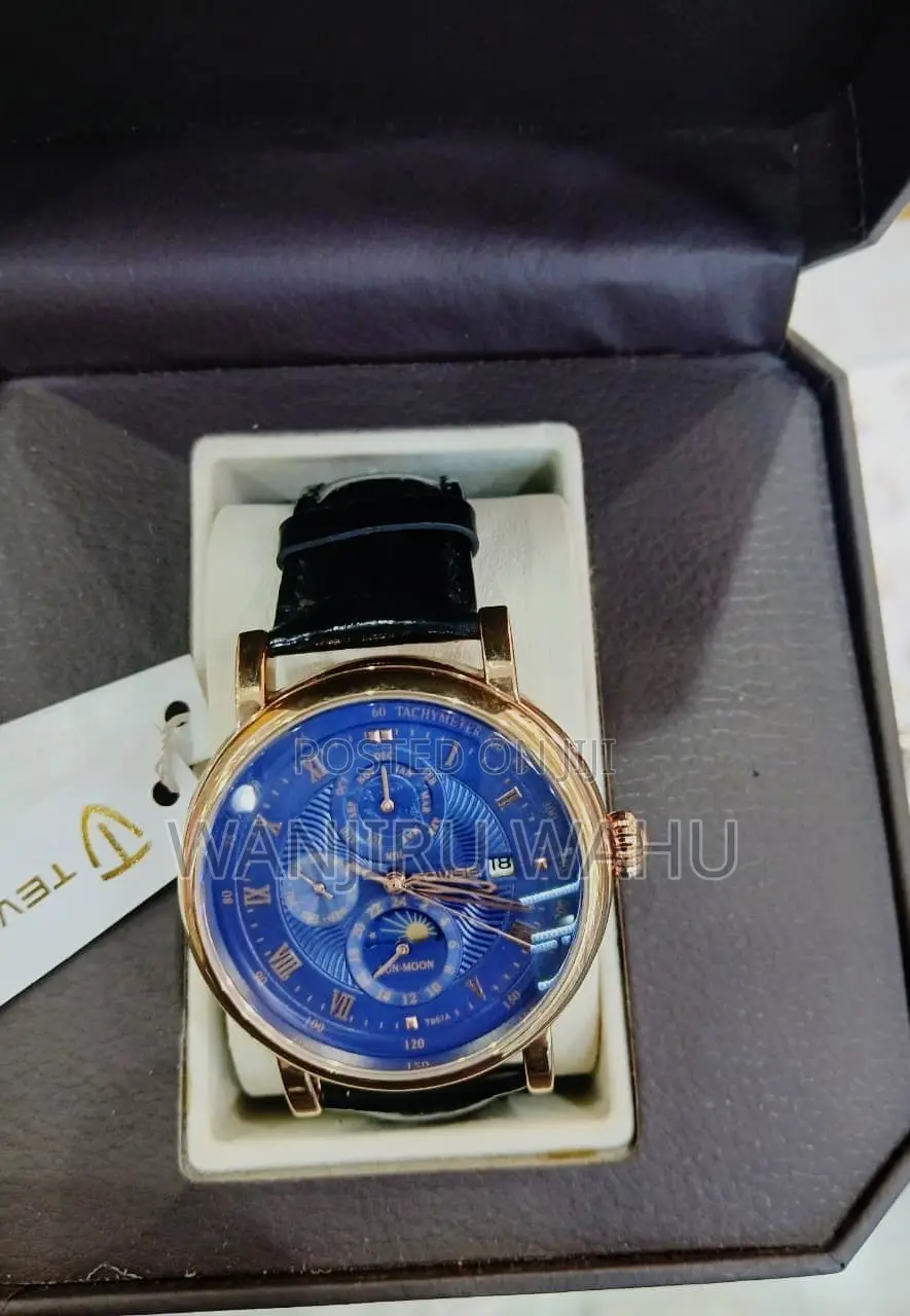 Tevise Automatic Watch