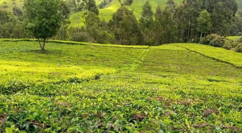 Land for Sell