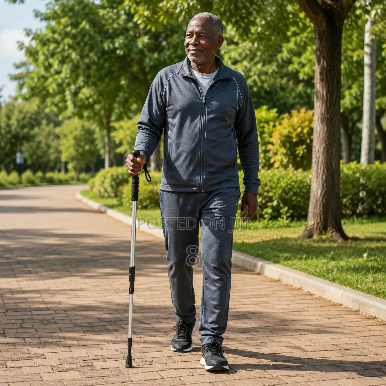 Adjustable Trekking Pole Walking Stick for Hiking