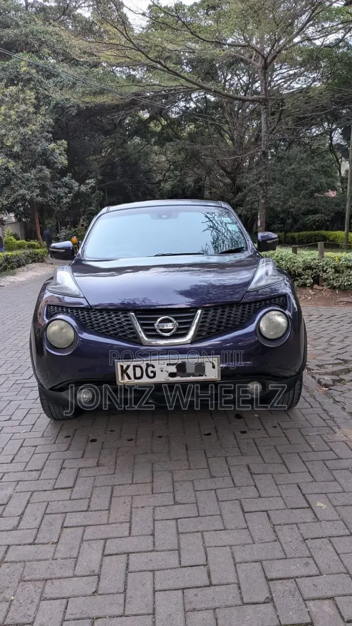 Nissan Juke 2014 Blue
