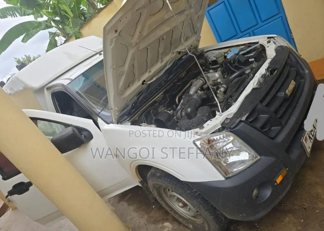 Isuzu D-MAX 2013 White