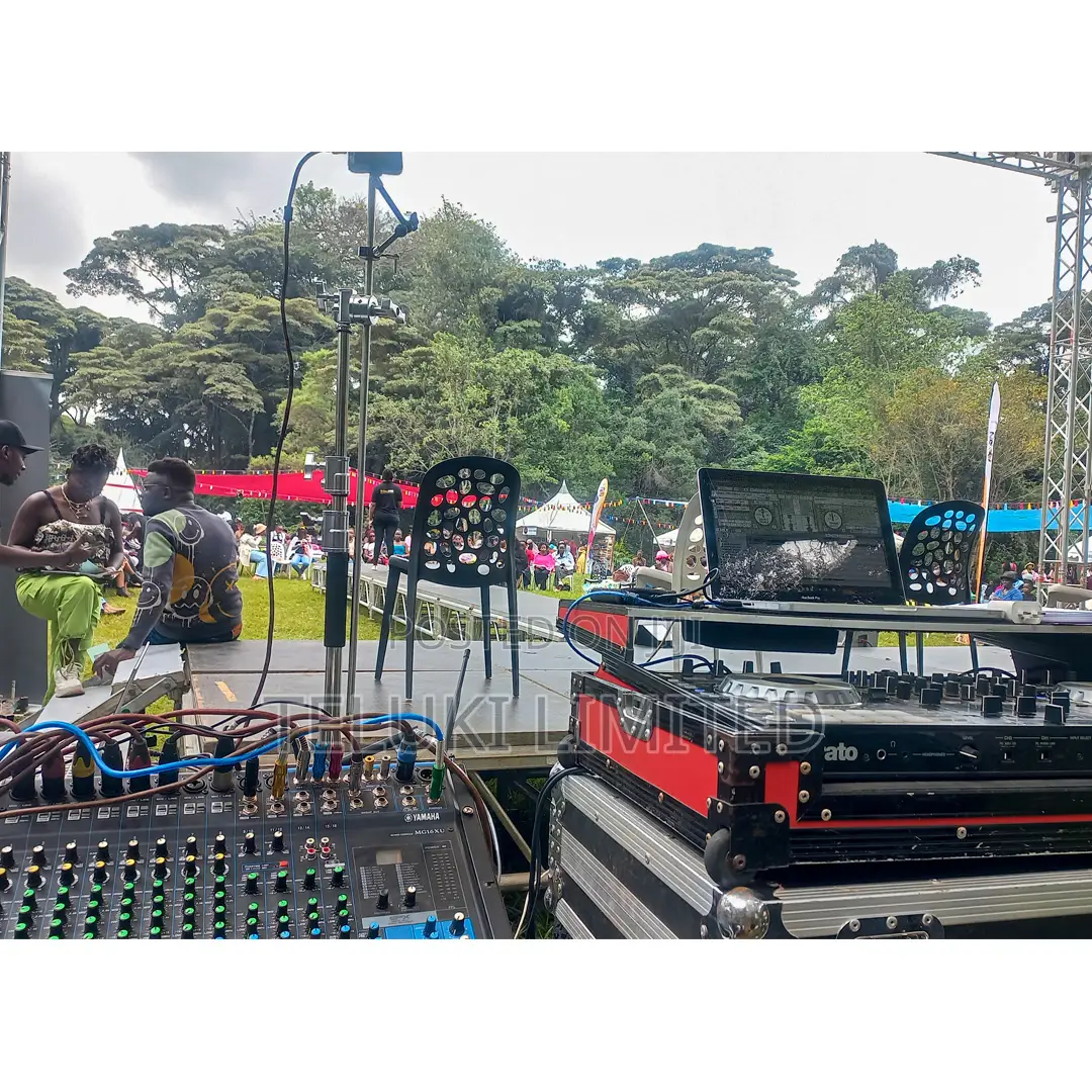 Line Array Speaker System Rental (PA System Hire)