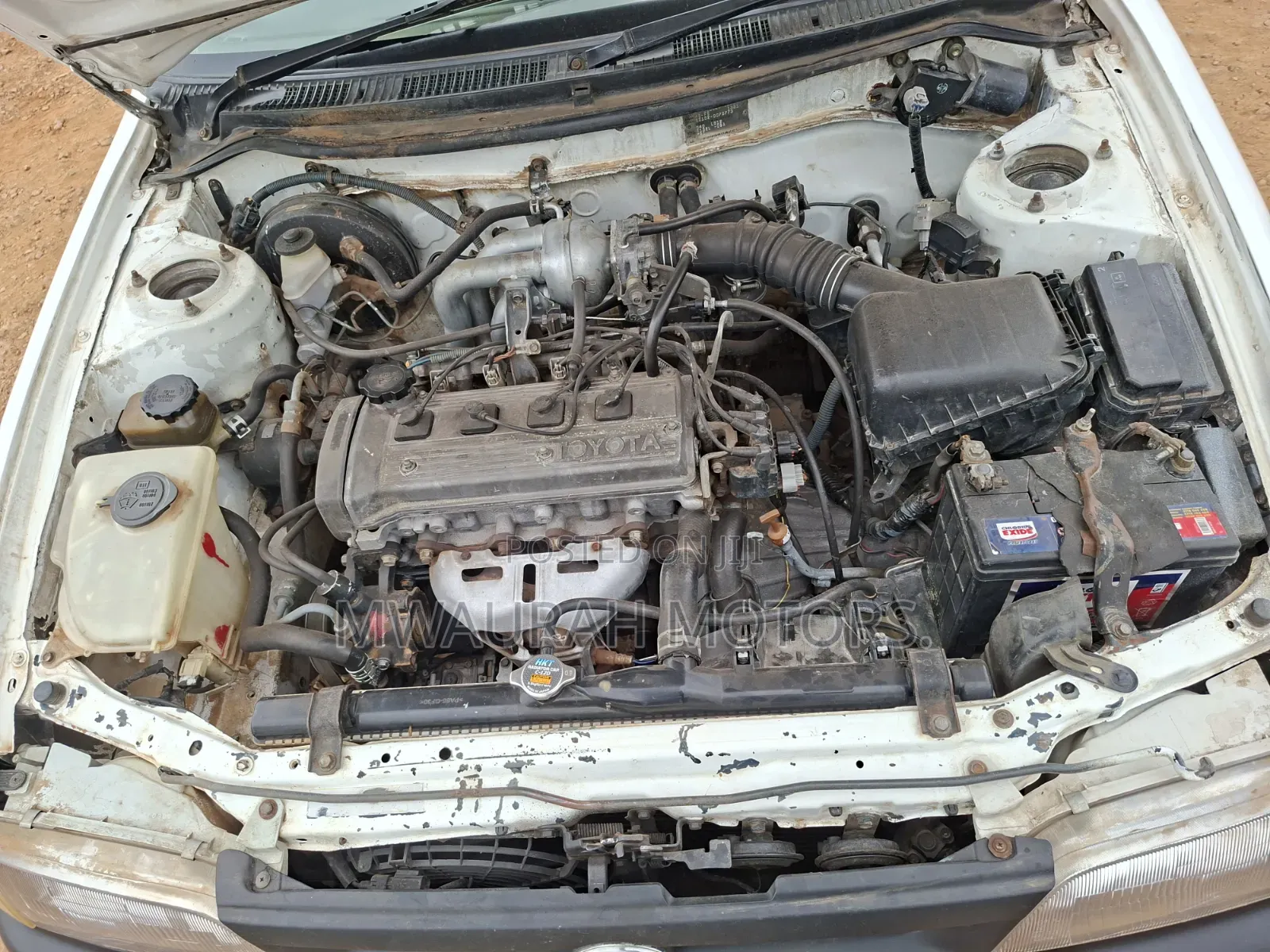 Toyota Corolla 2001 White
