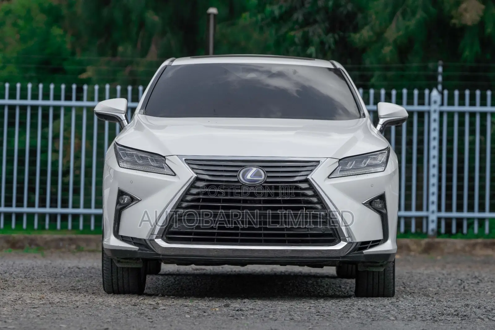 Lexus RX 2016 White