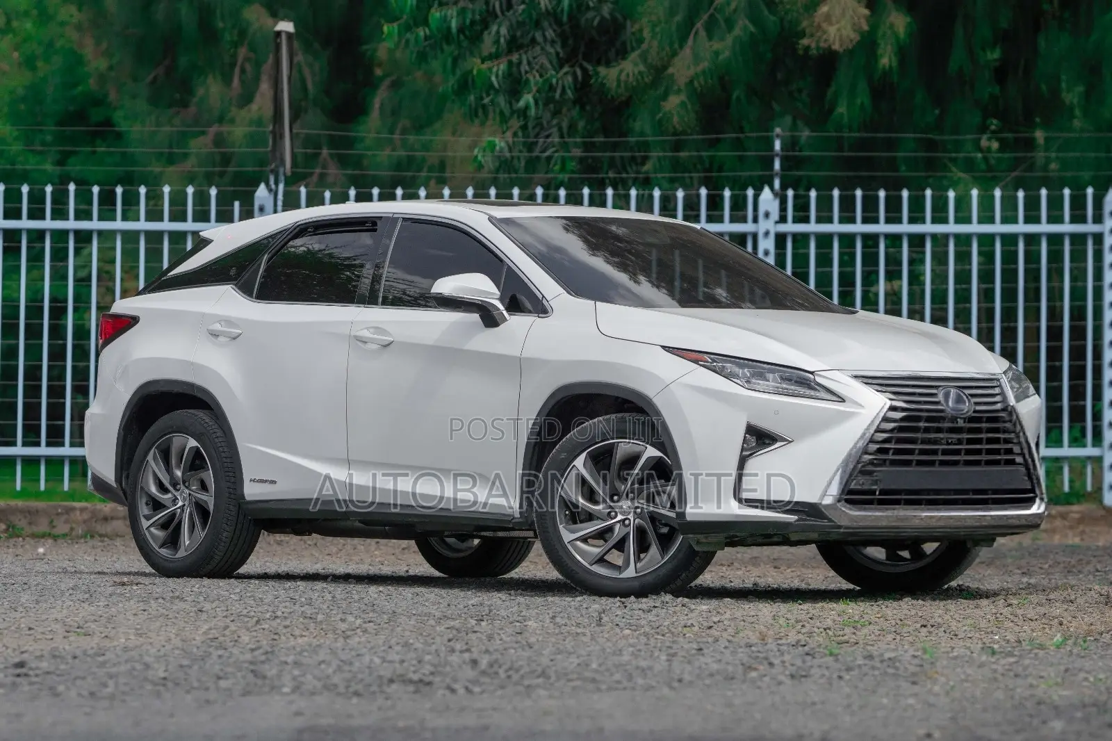 Lexus RX 2016 White