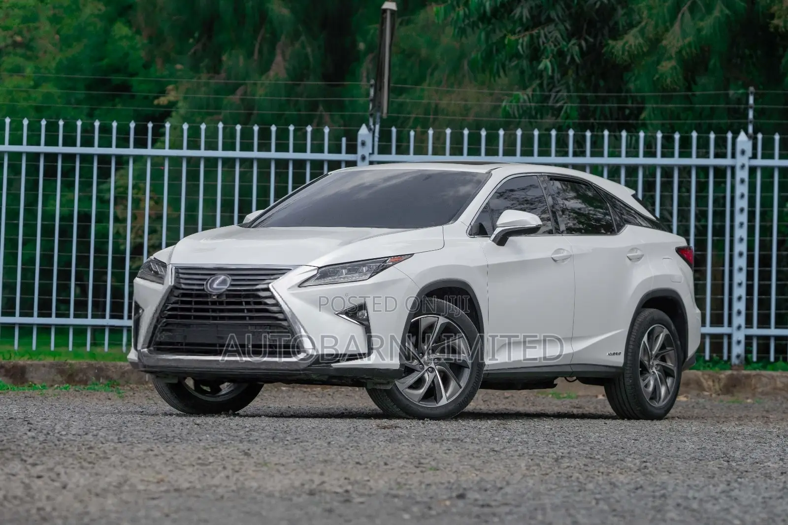 Lexus RX 2016 White